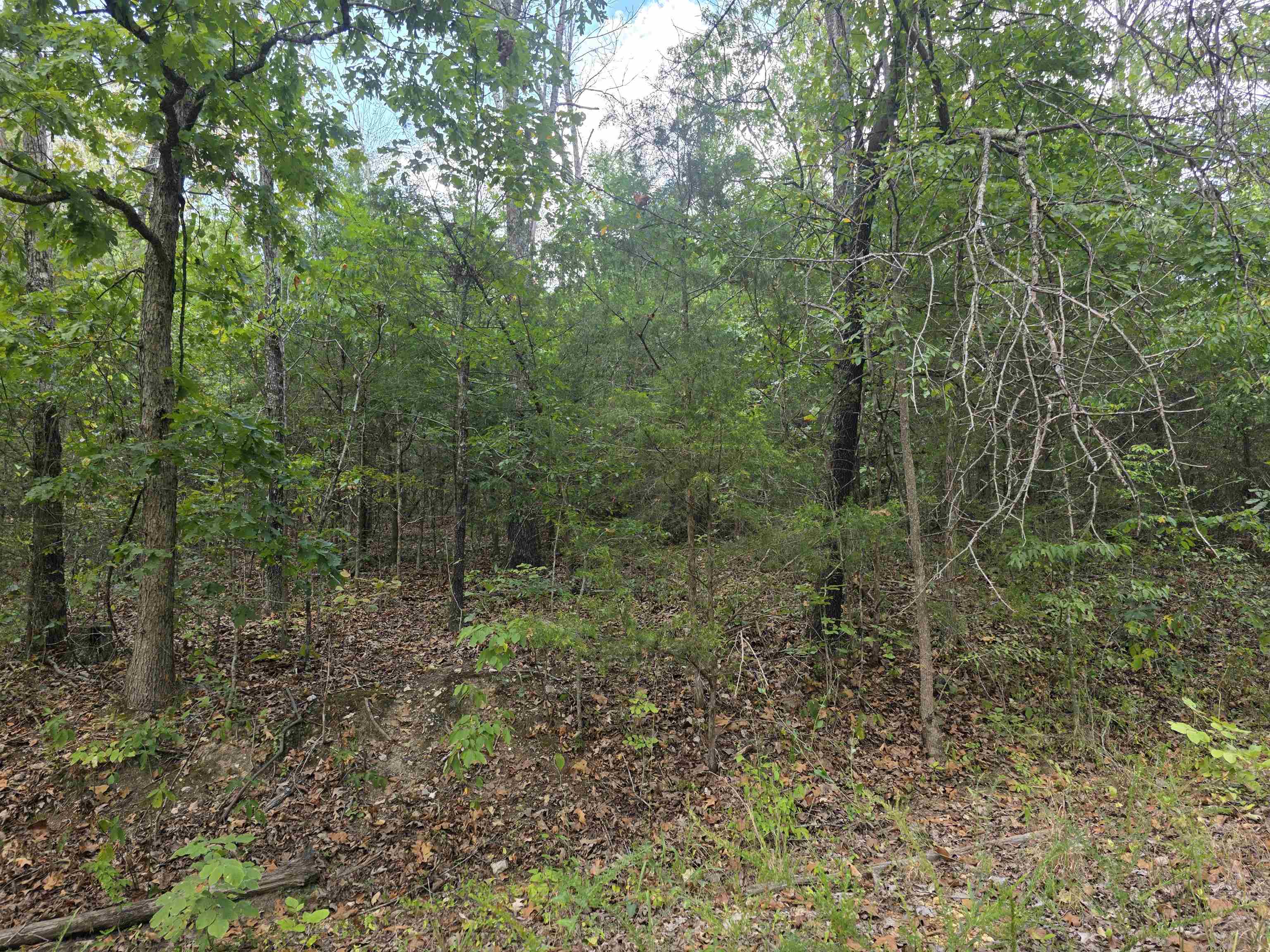 Tbd Multiple Lots Hardy&oa Property Photo 12