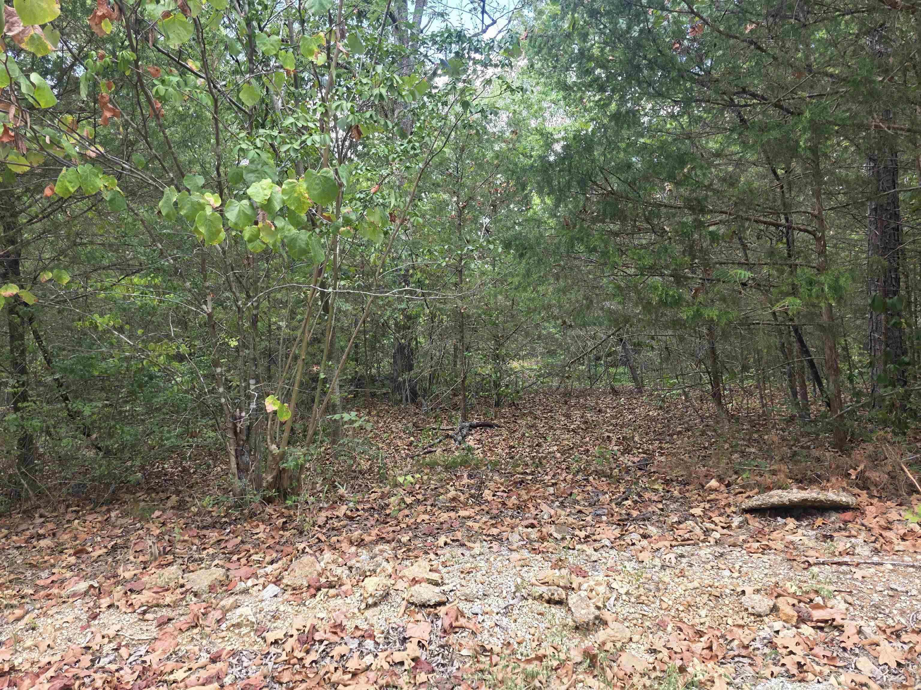 Tbd Multiple Lots Hardy&oa Property Photo 14
