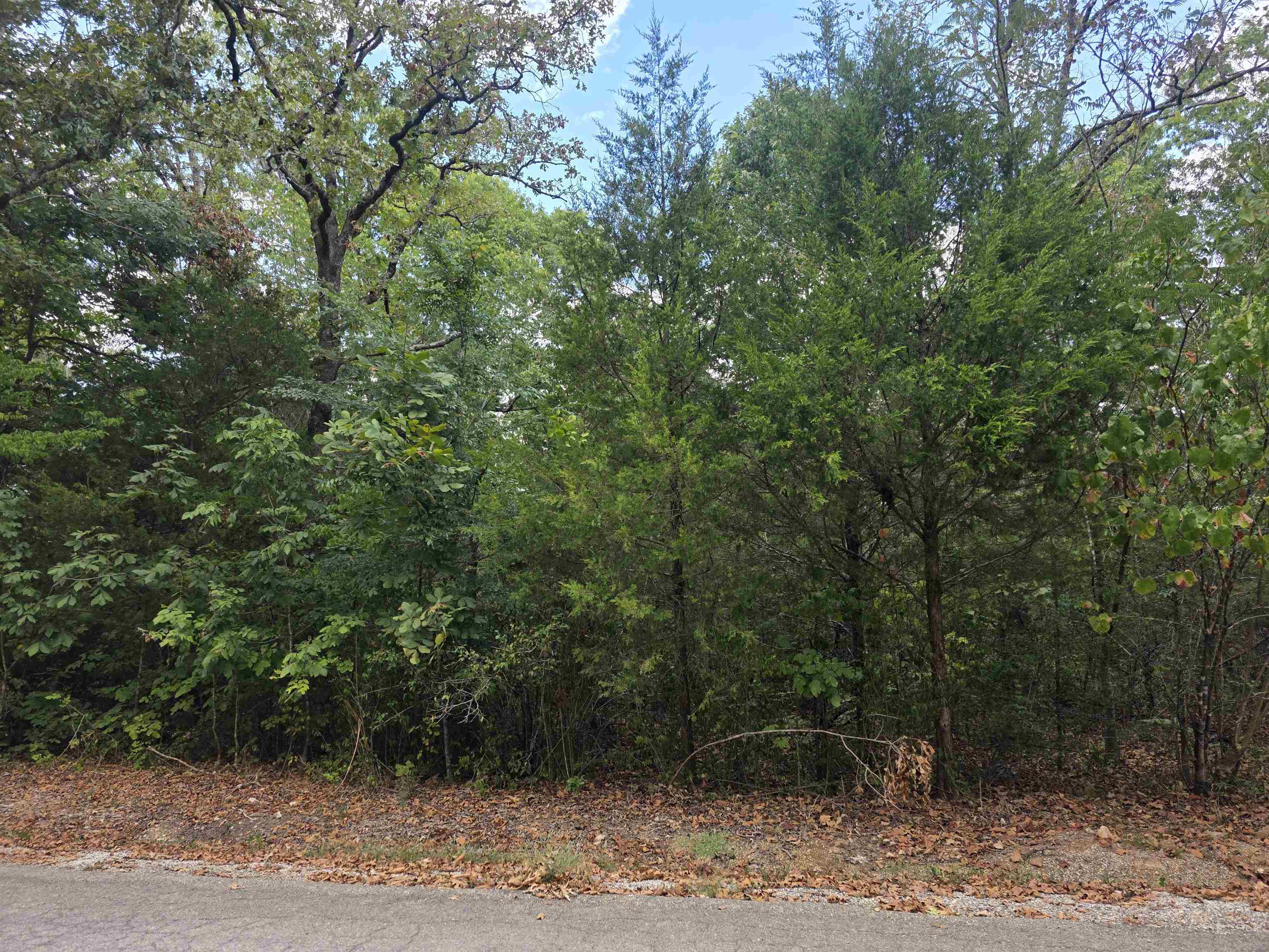 Tbd Multiple Lots Hardy&oa Property Photo 15