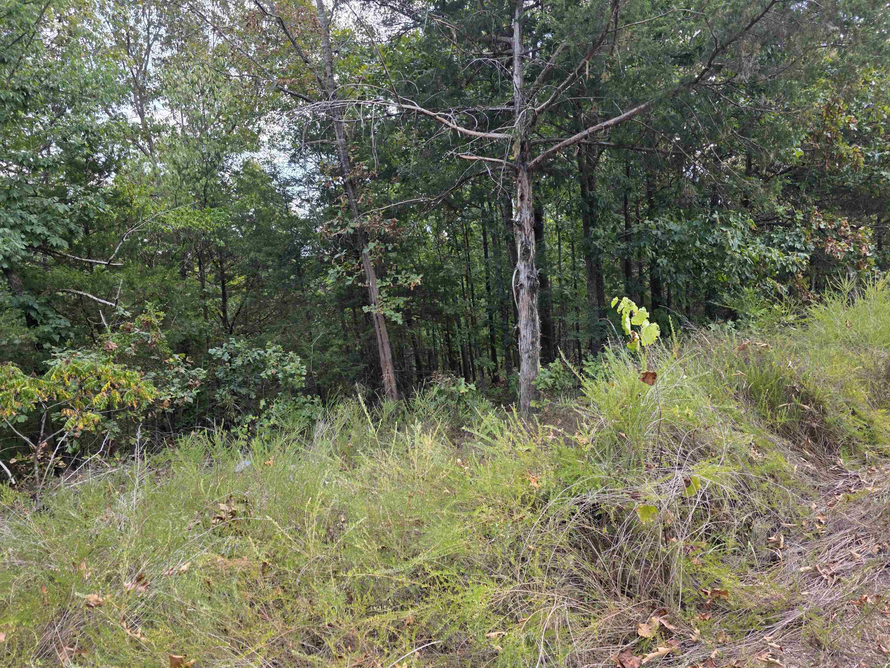 Tbd Multiple Lots Hardy&oa Property Photo 23