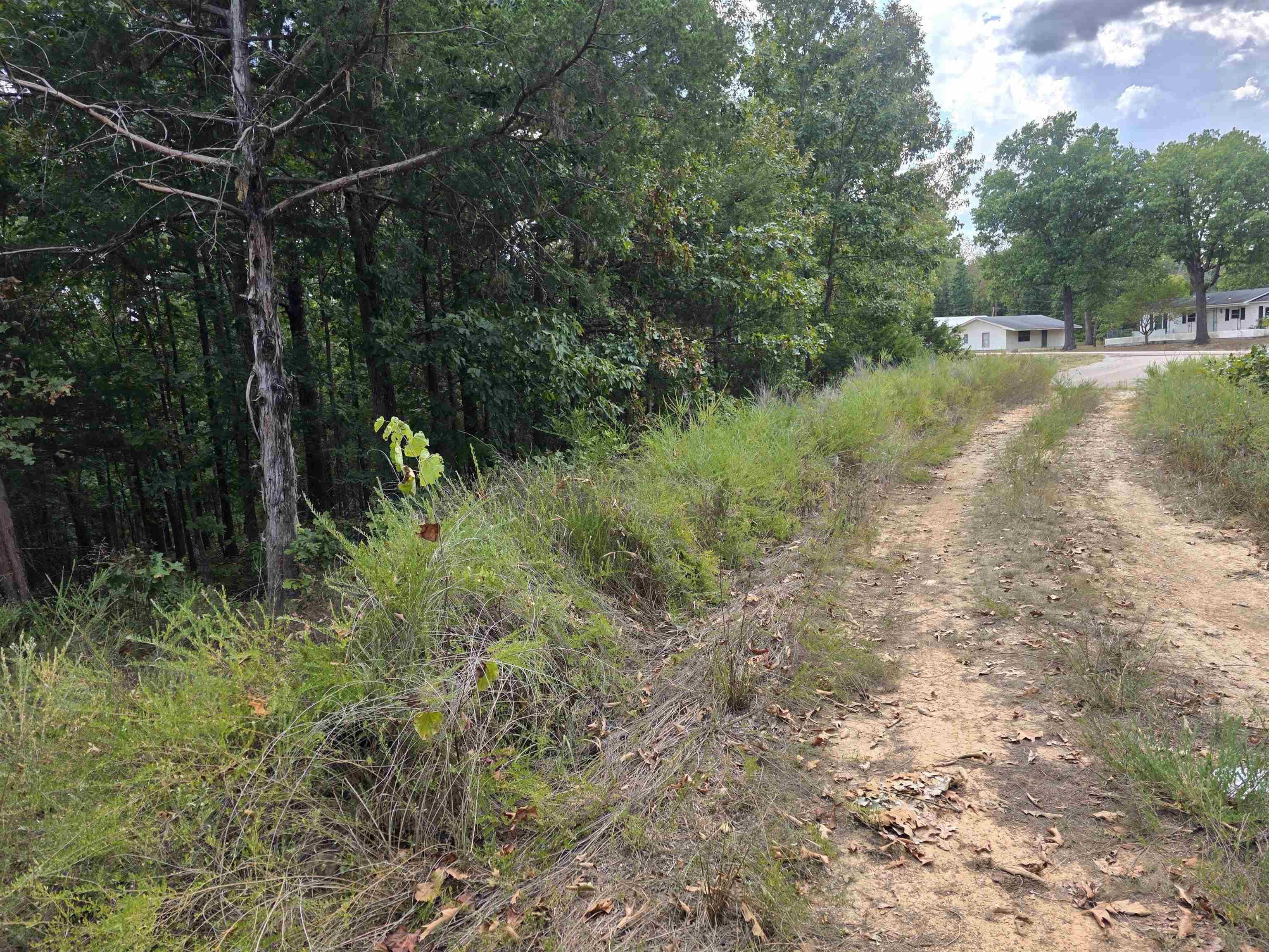 Tbd Multiple Lots Hardy&oa Property Photo 24
