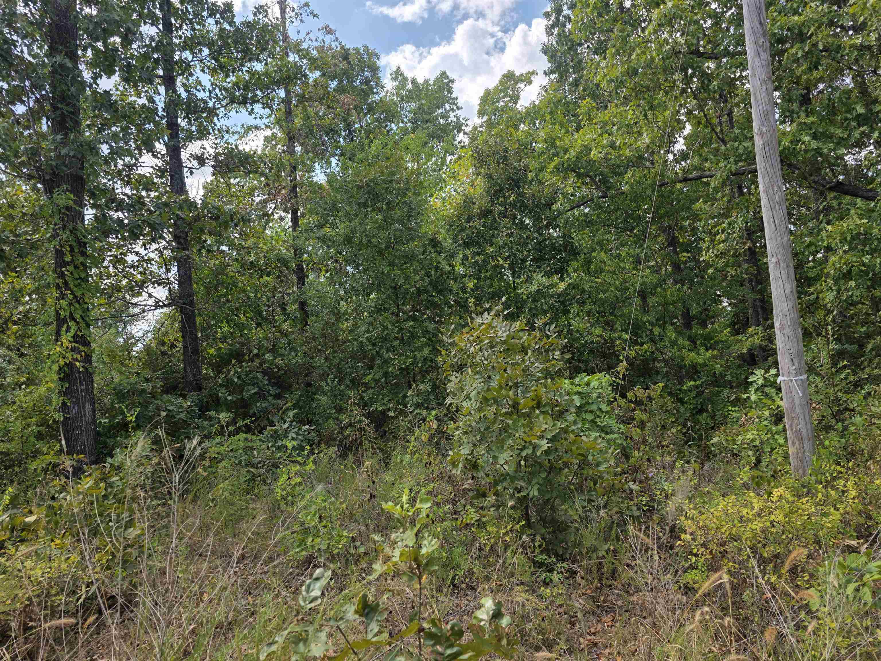 N/2 L-10 B-3 Tucker Road Property Photo 8
