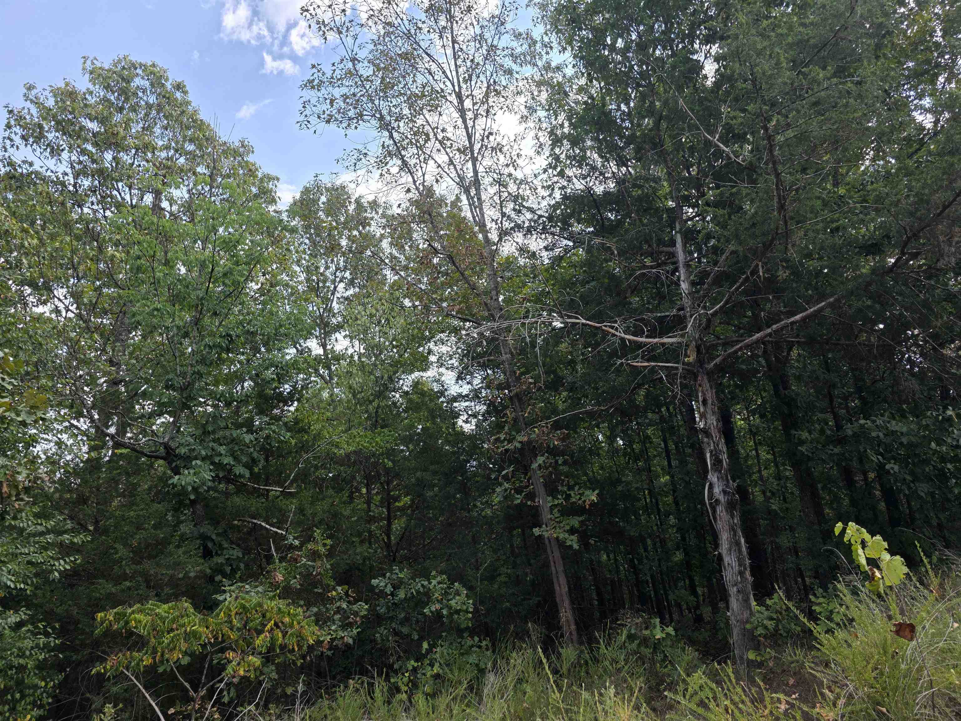 L8 B3 62/412 Highway Property Photo 1