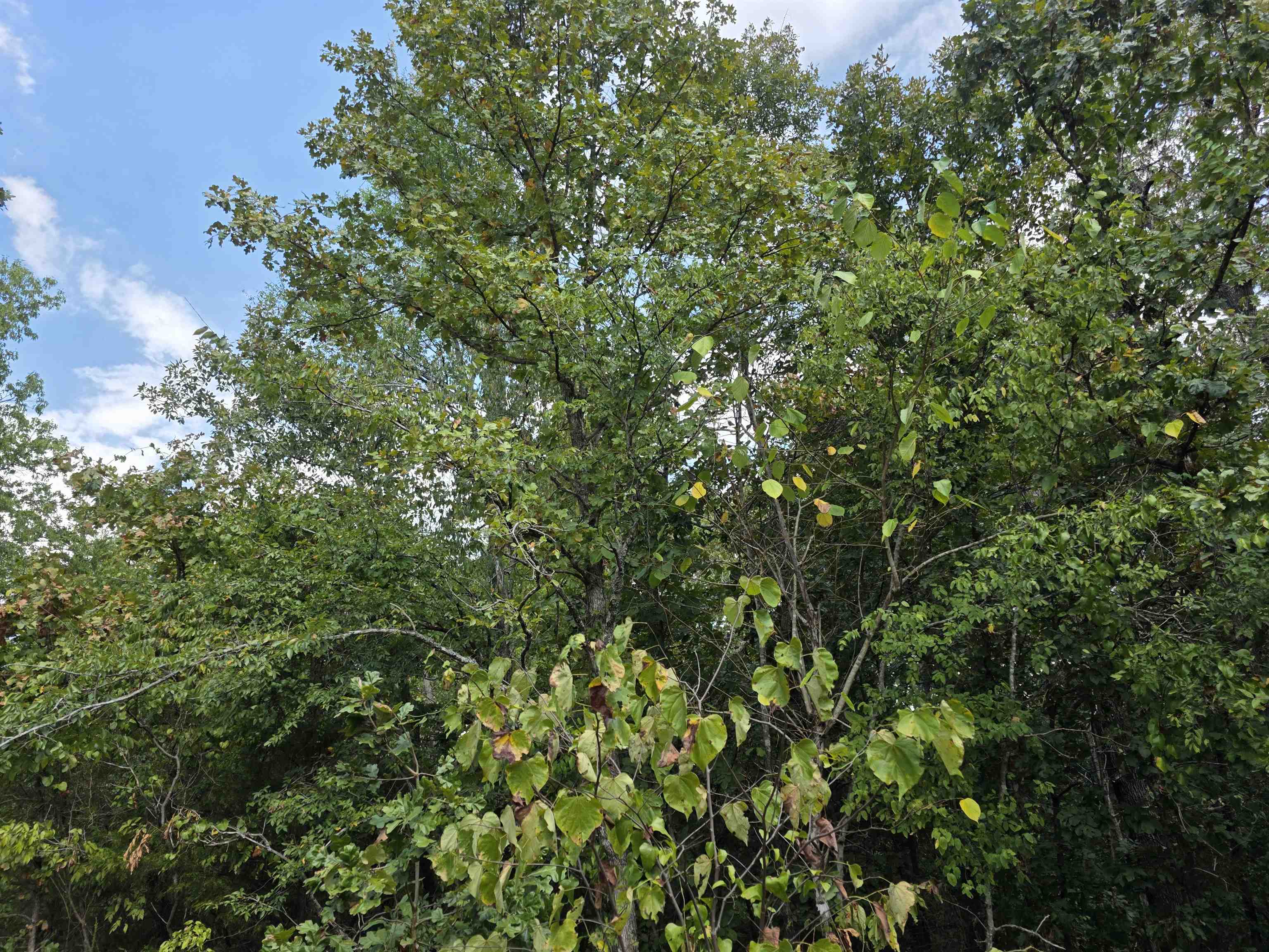 L8 B3 62/412 Highway Property Photo 4