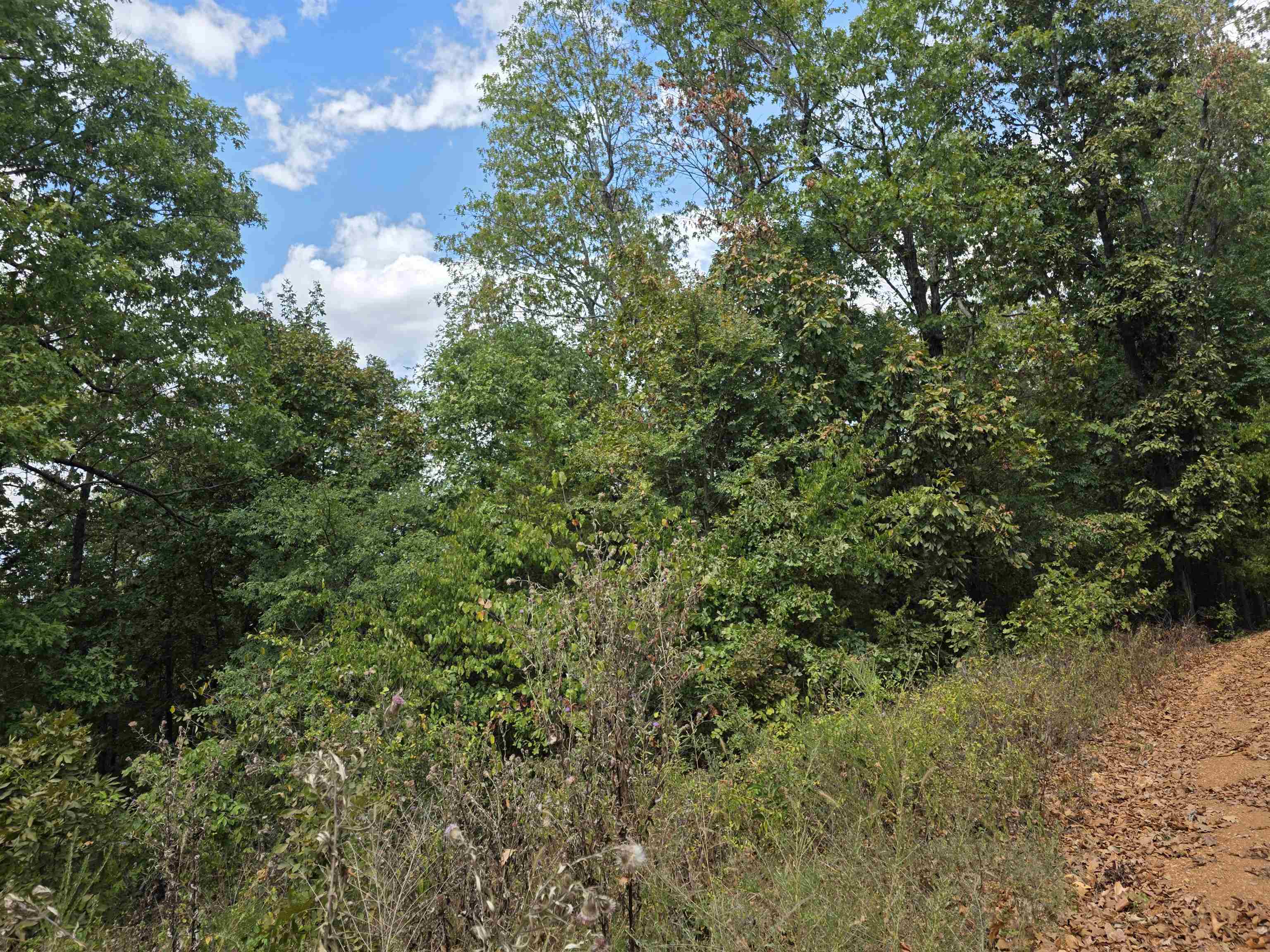 L24 B3 Old Cc Road Property Photo 3