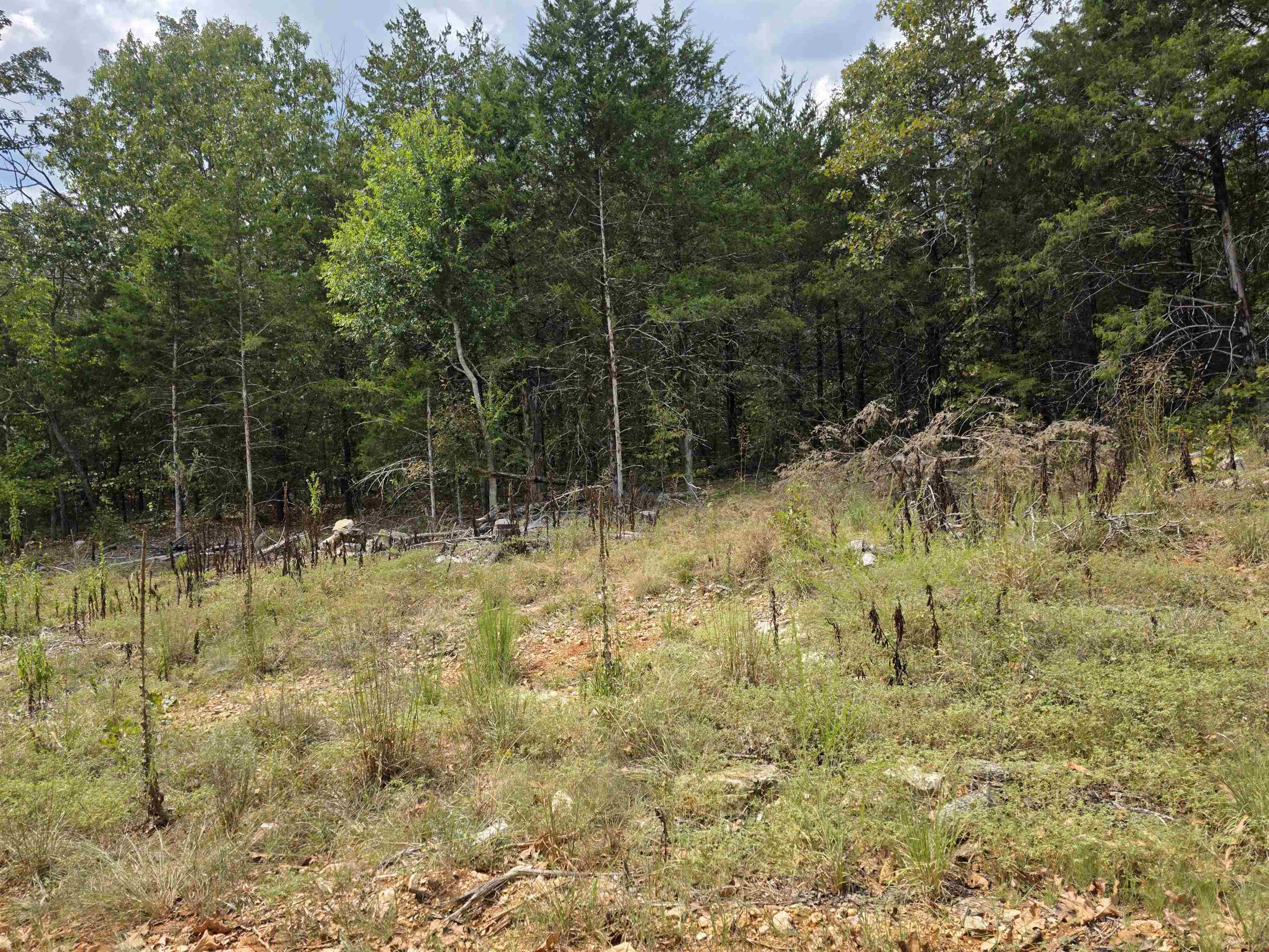 L38 B6 Old Cc Road Property Photo 2