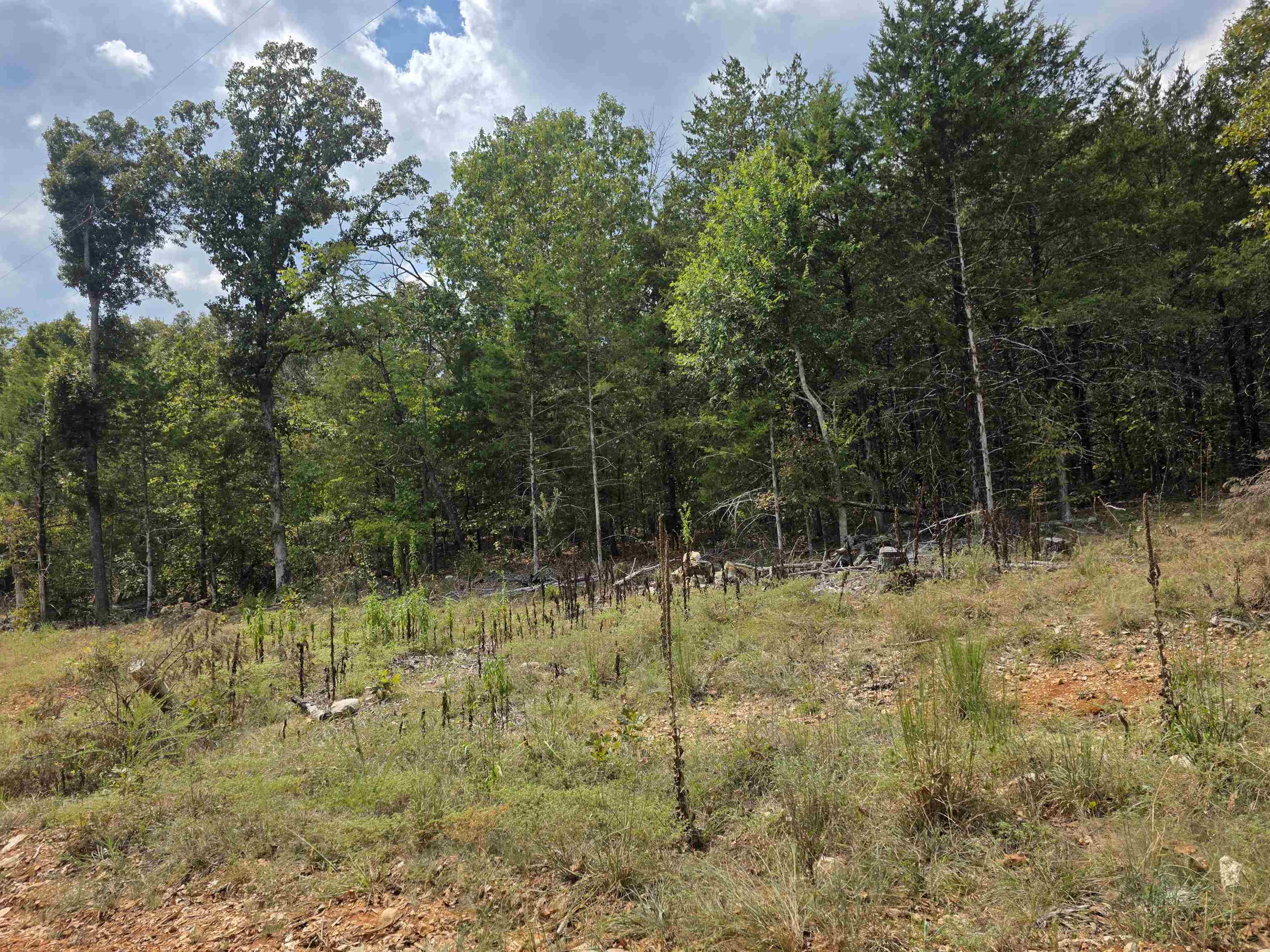 L38 B6 Old Cc Road Property Photo 4