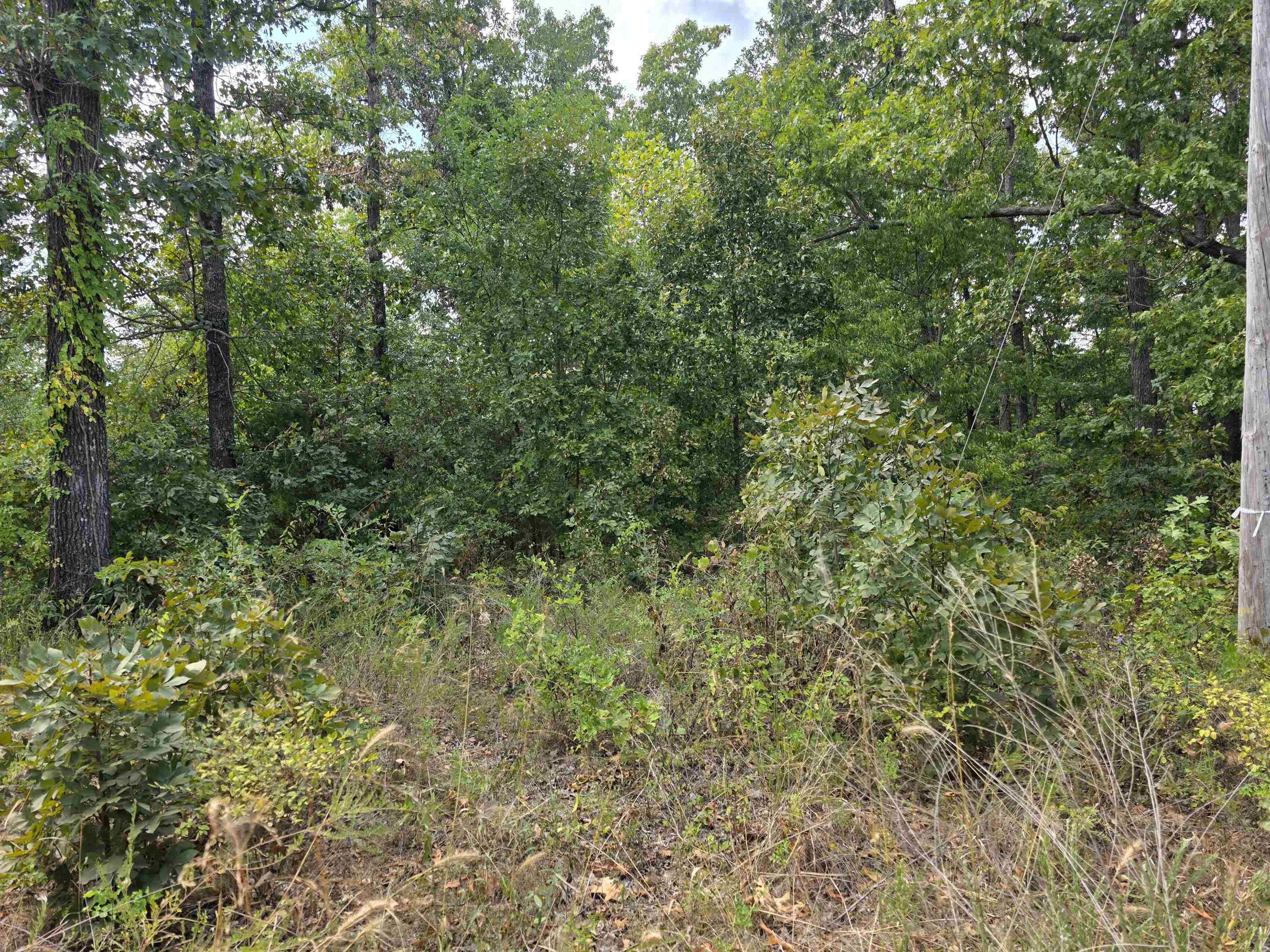 L38 B6 Old Cc Road Property Photo 8