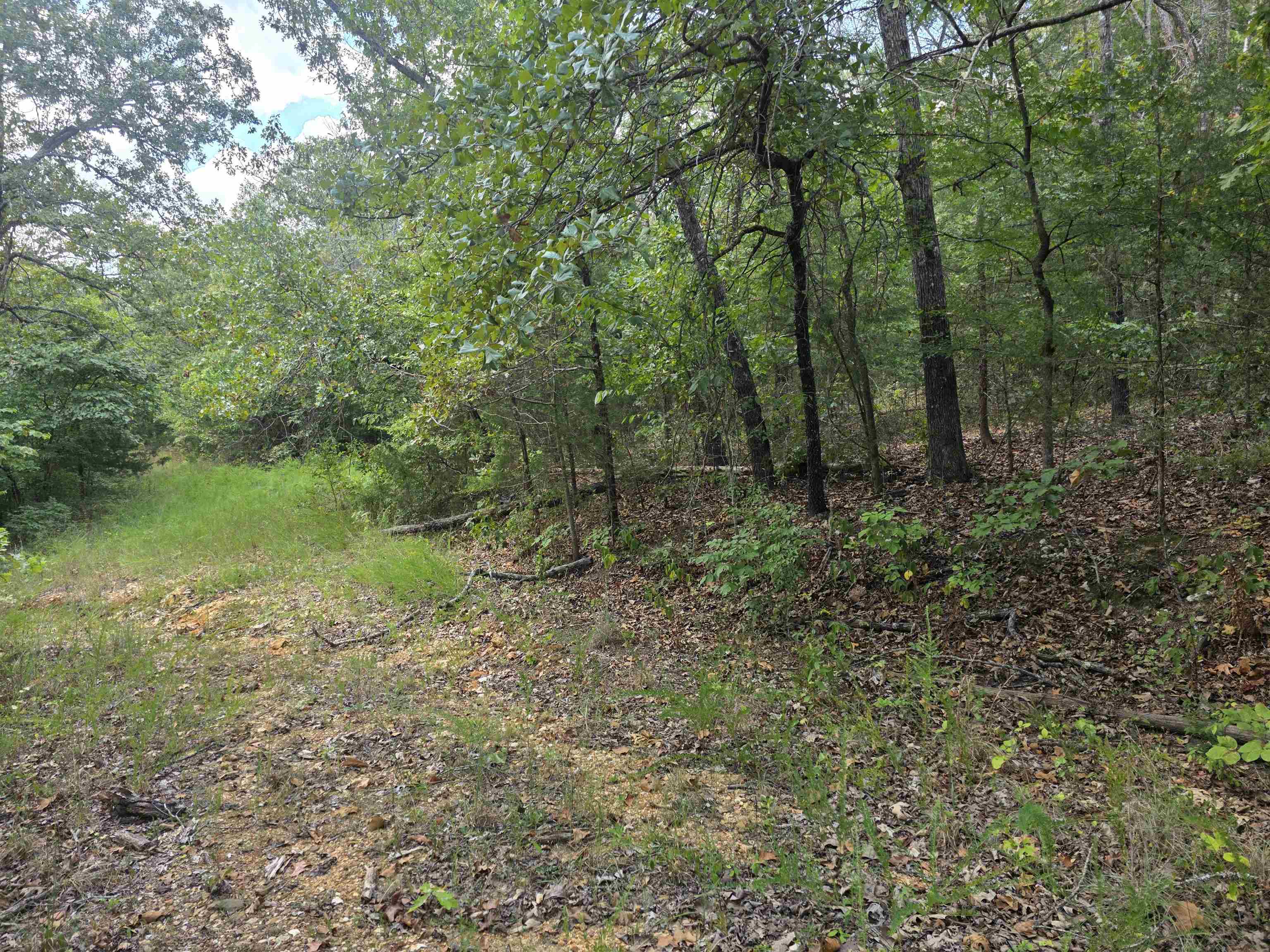 L9 B7 Buckskin Circle Property Photo 2