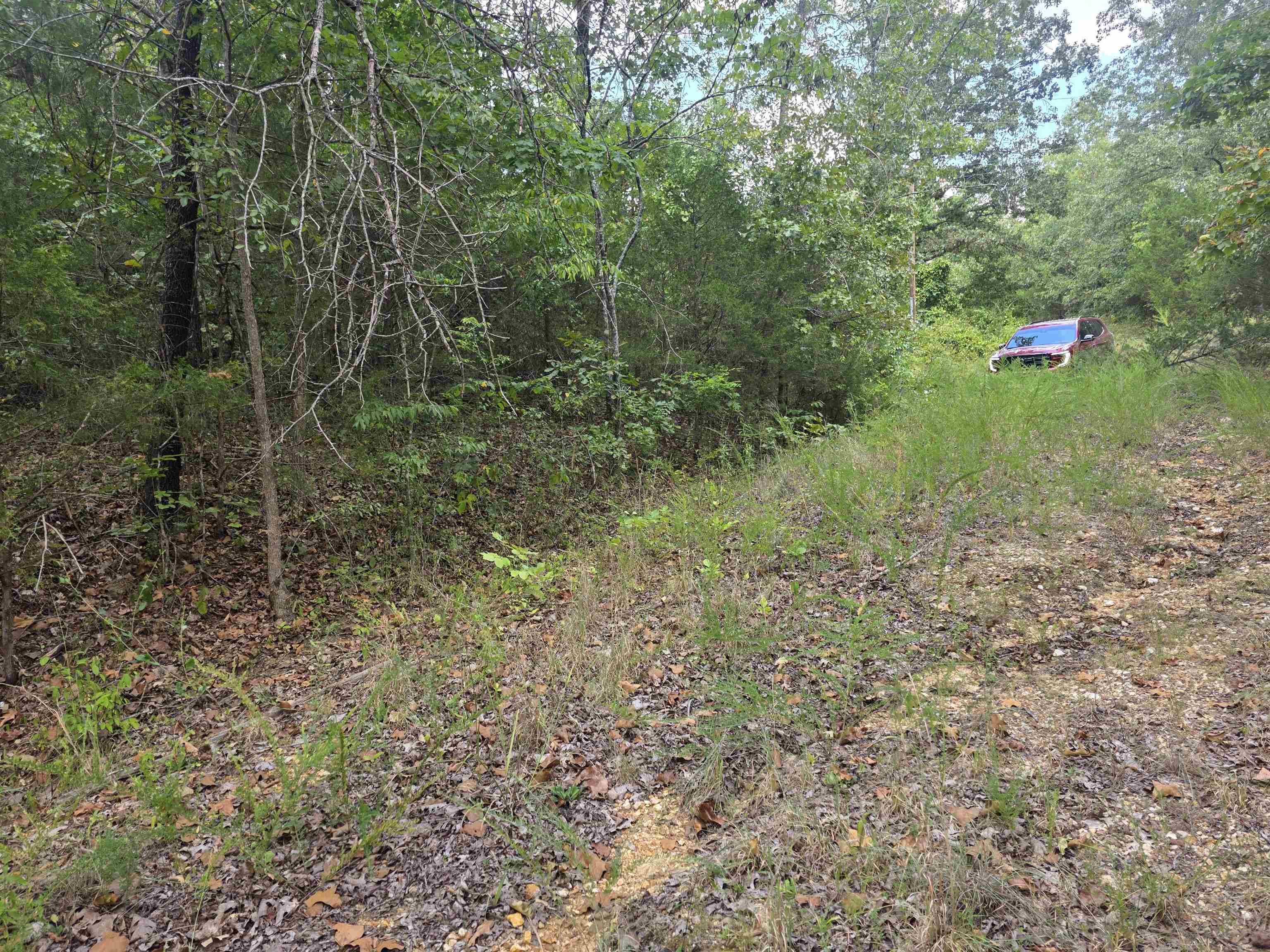 L9 B7 Buckskin Circle Property Photo 4