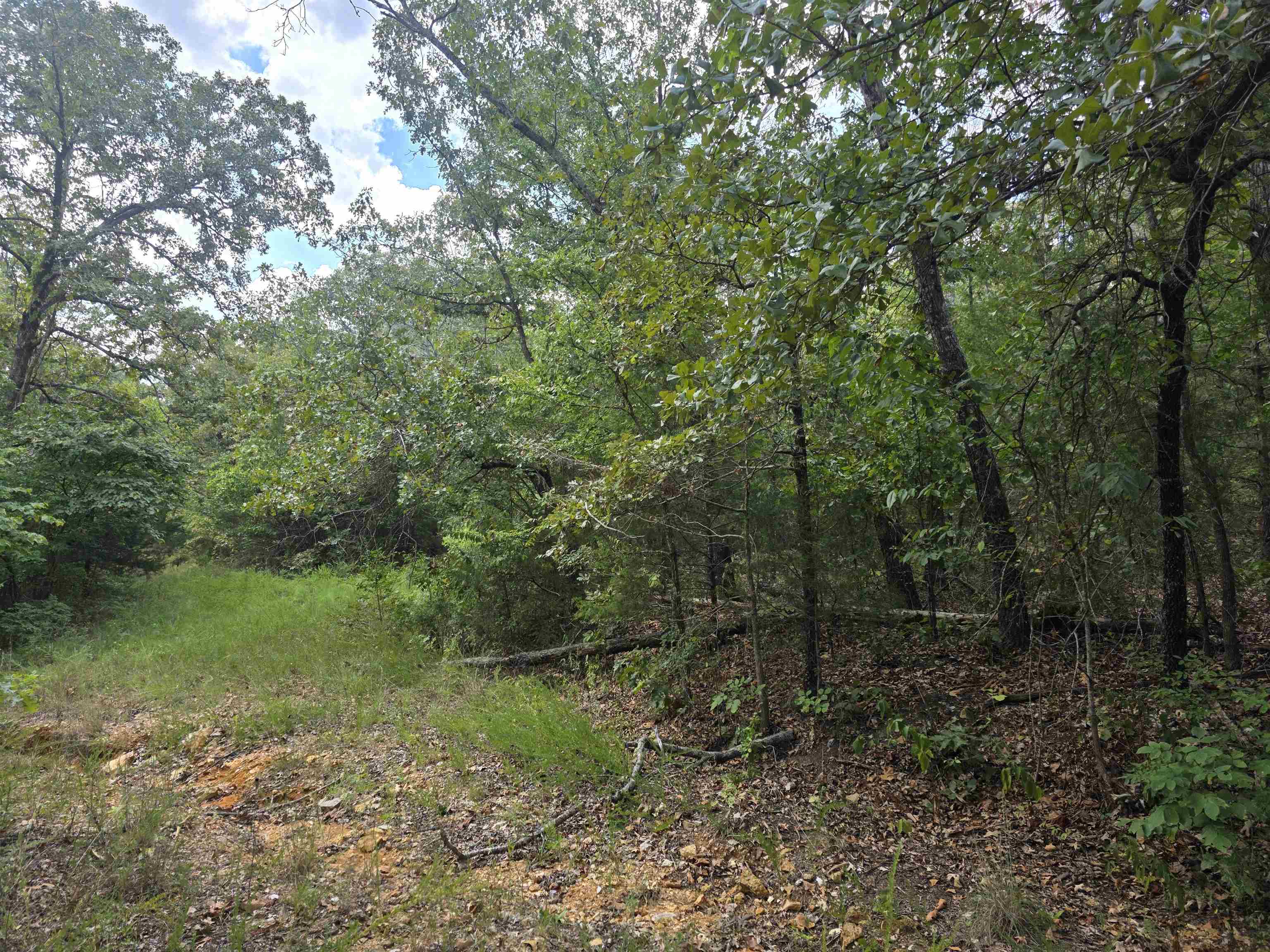 L9 B7 Buckskin Circle Property Photo 6