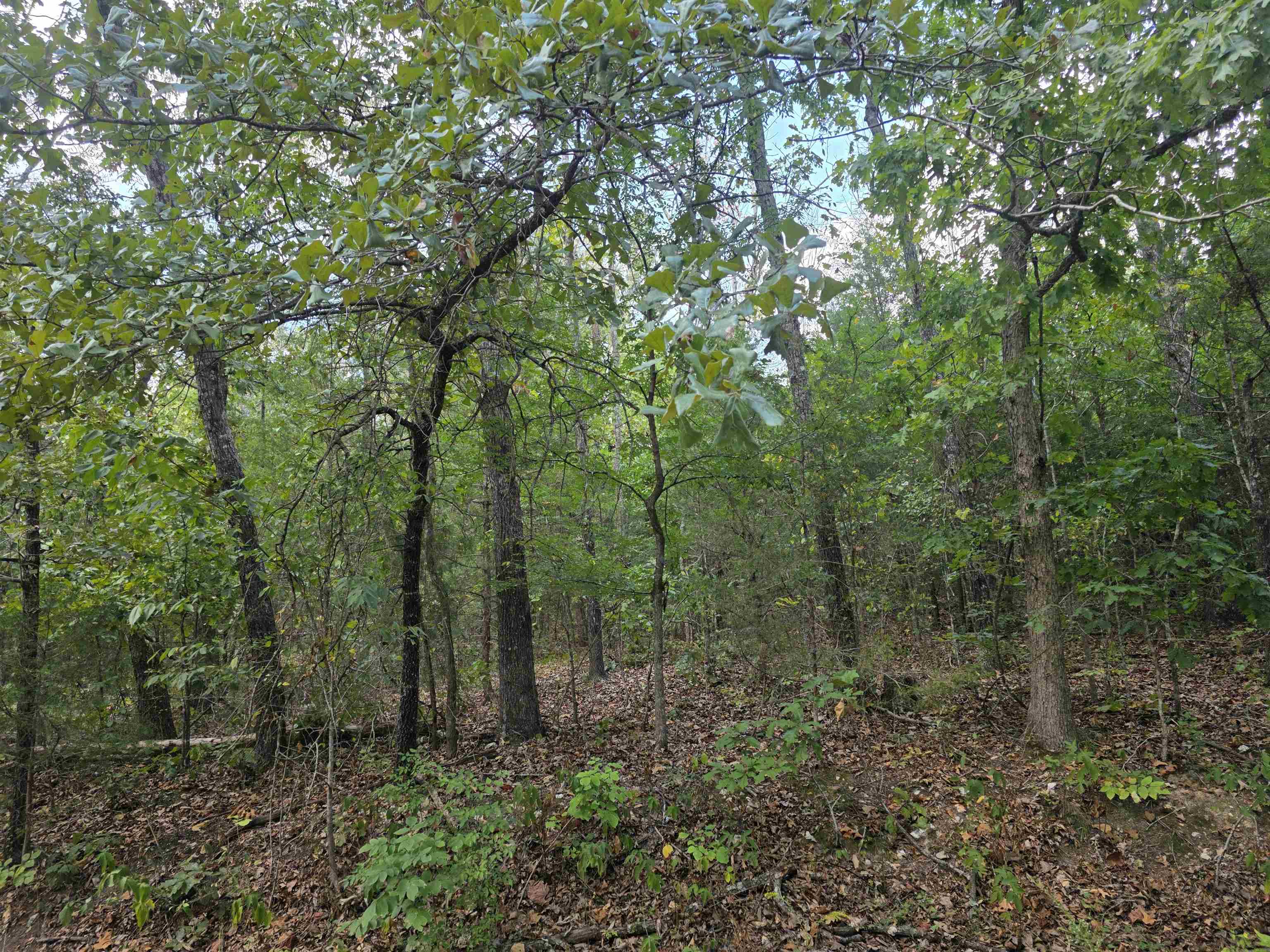 L9 B7 Buckskin Circle Property Photo 7