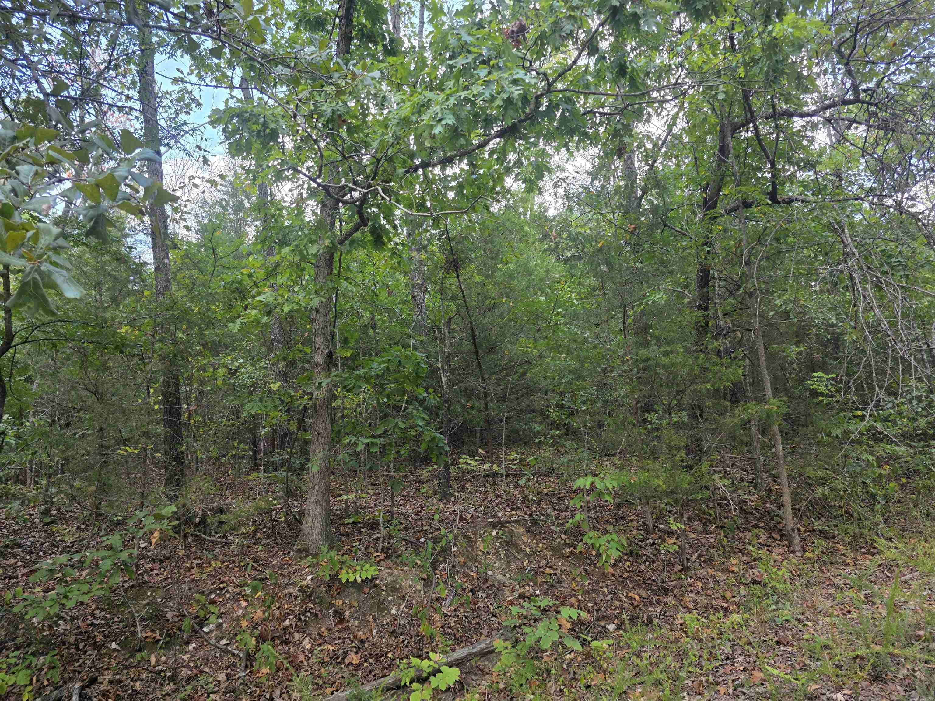 L9 B7 Buckskin Circle Property Photo 8