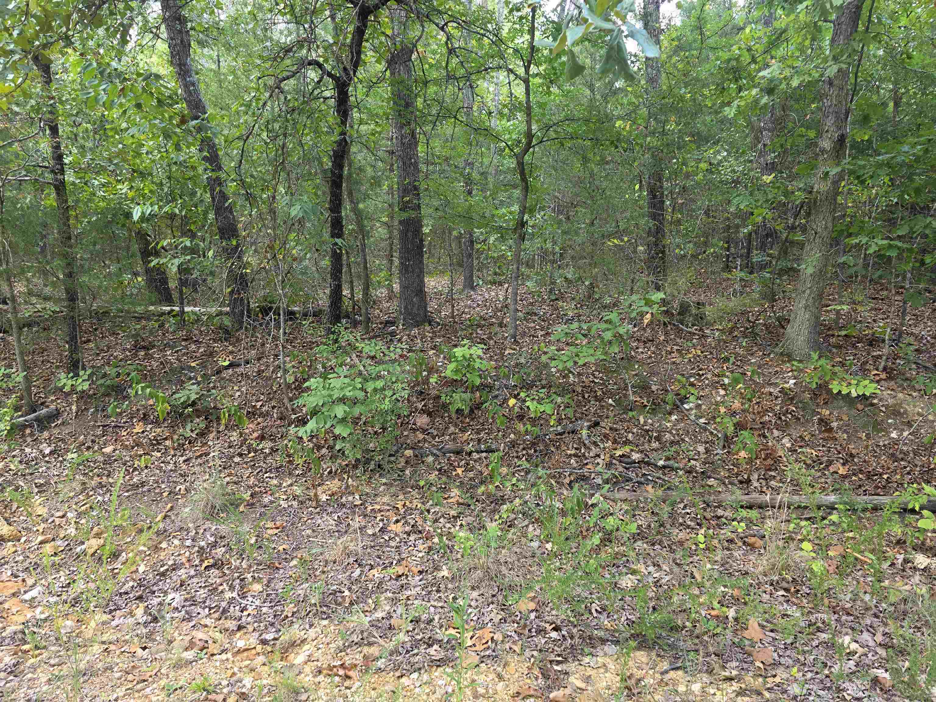 L9 B7 Buckskin Circle Property Photo 9
