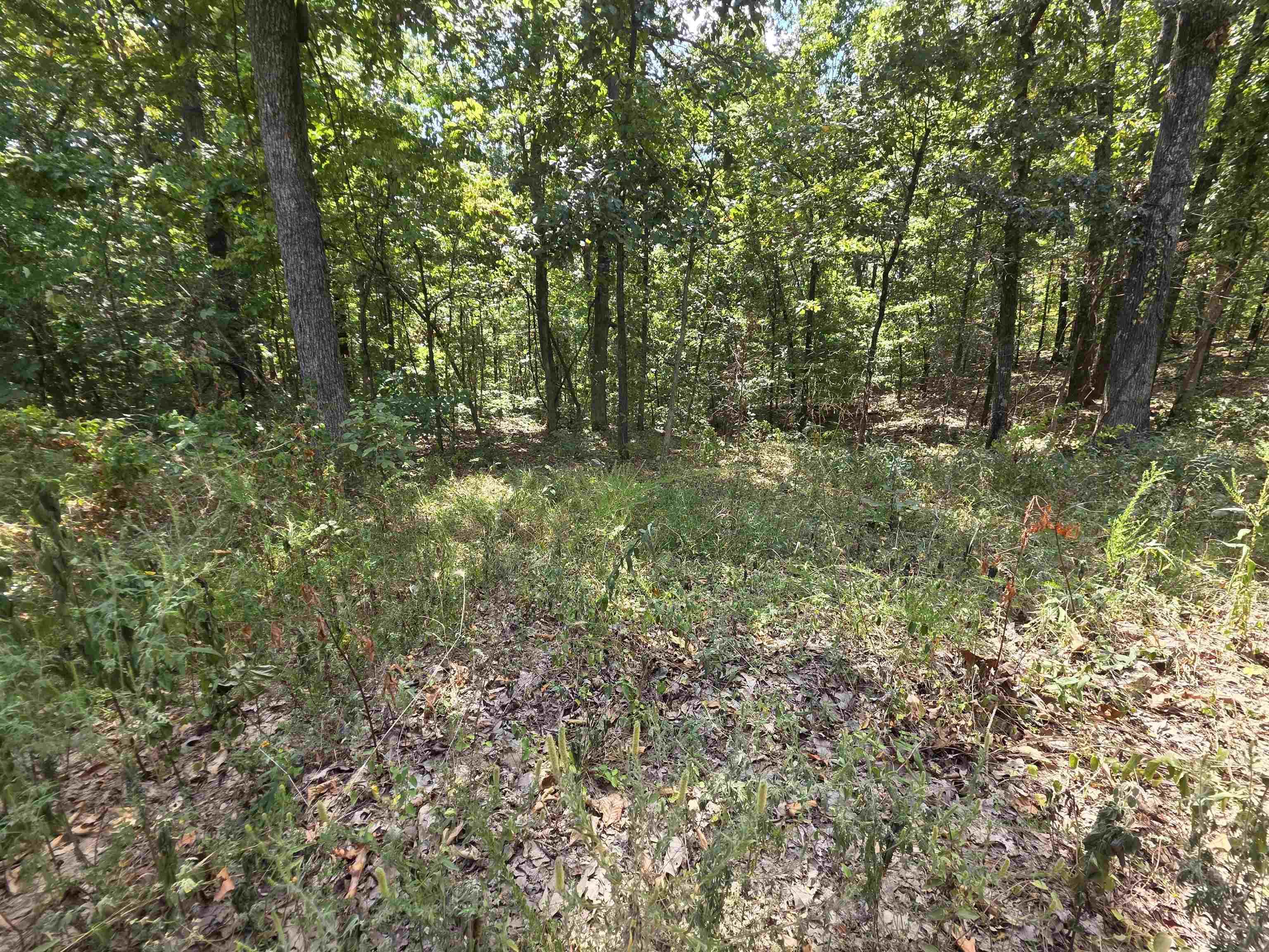 L8 B17 Hitching Post Road Property Photo 6