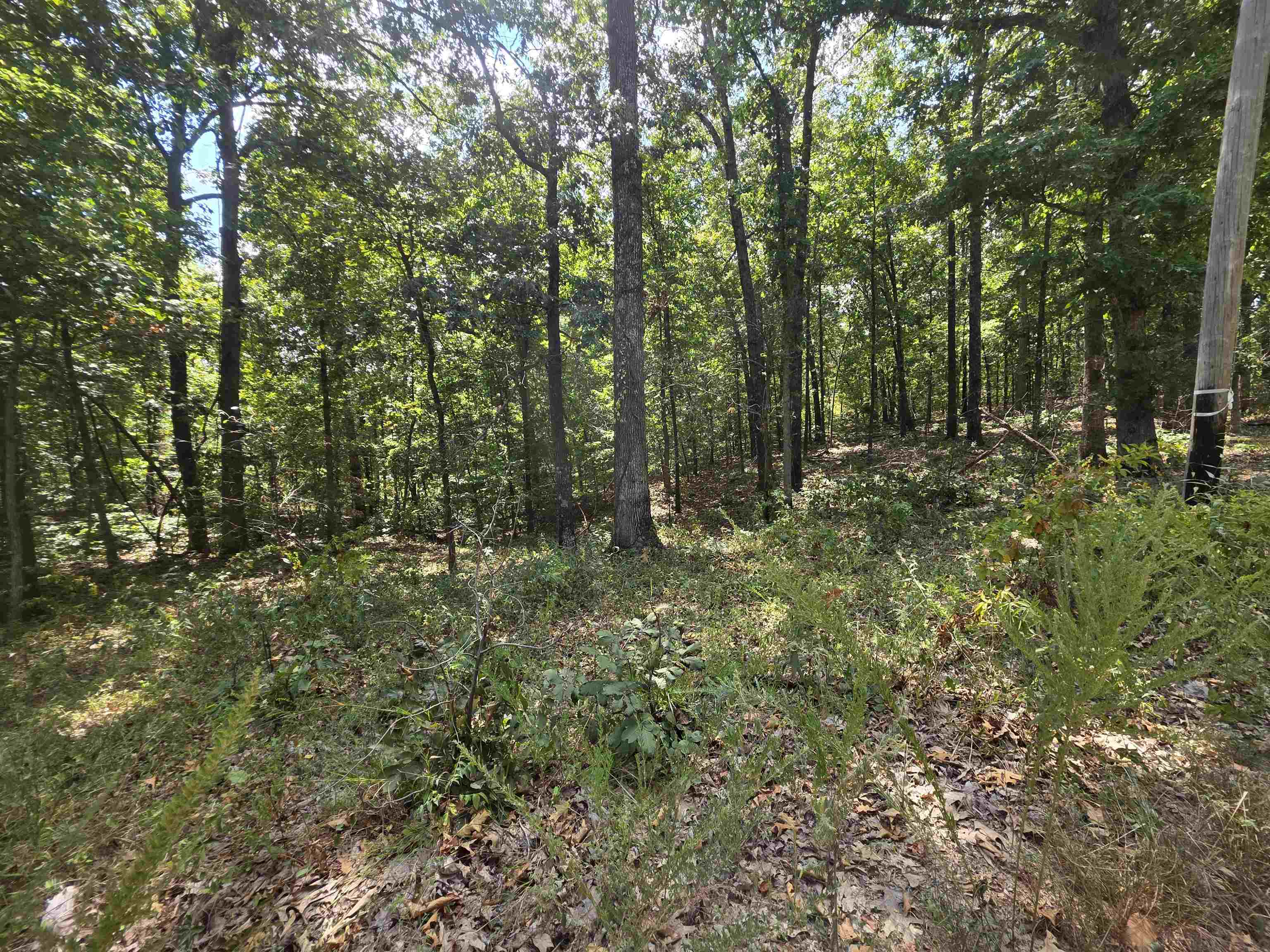 L8 B17 Hitching Post Road Property Photo 8