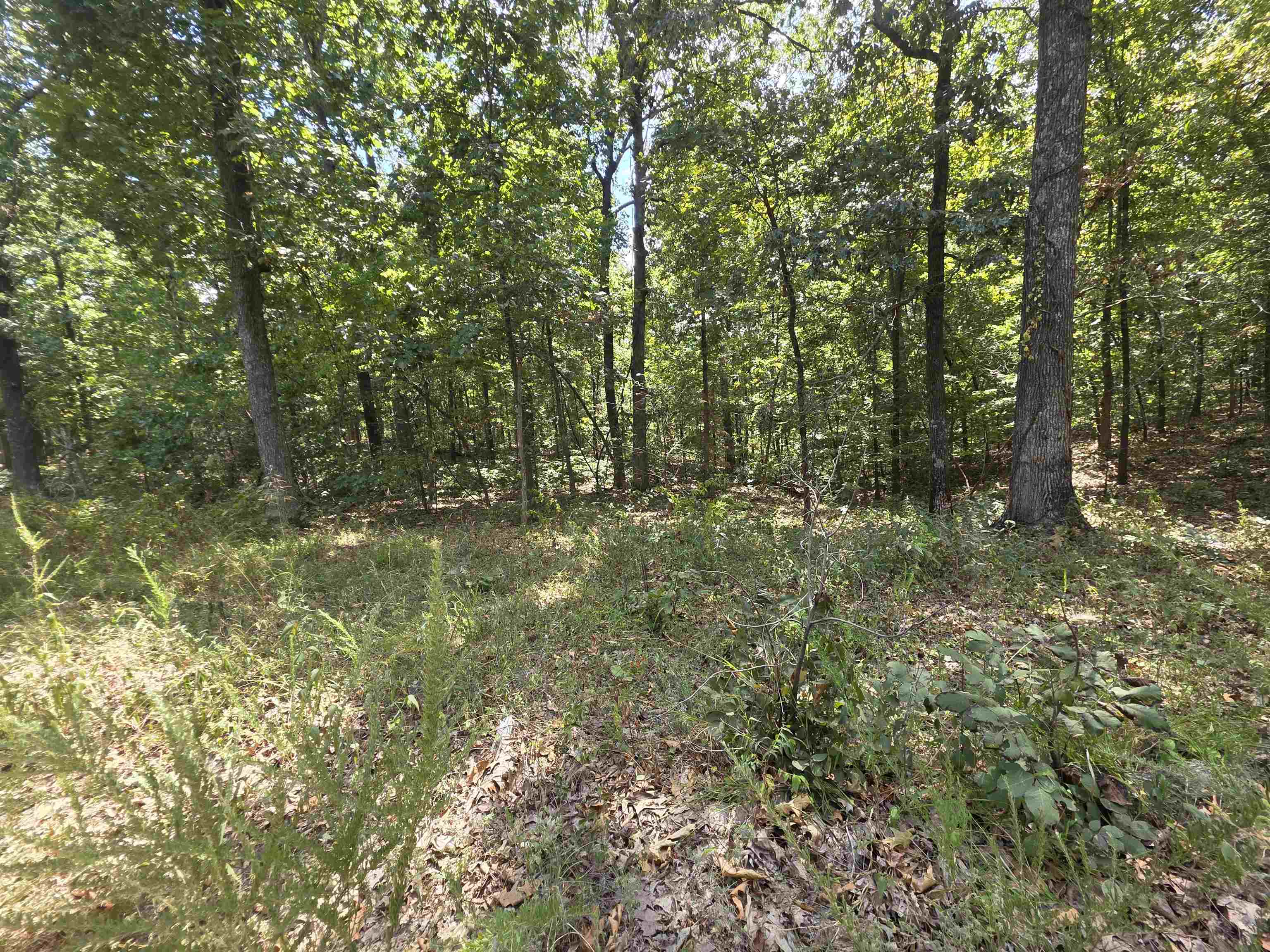 L8 B17 Hitching Post Road Property Photo 9
