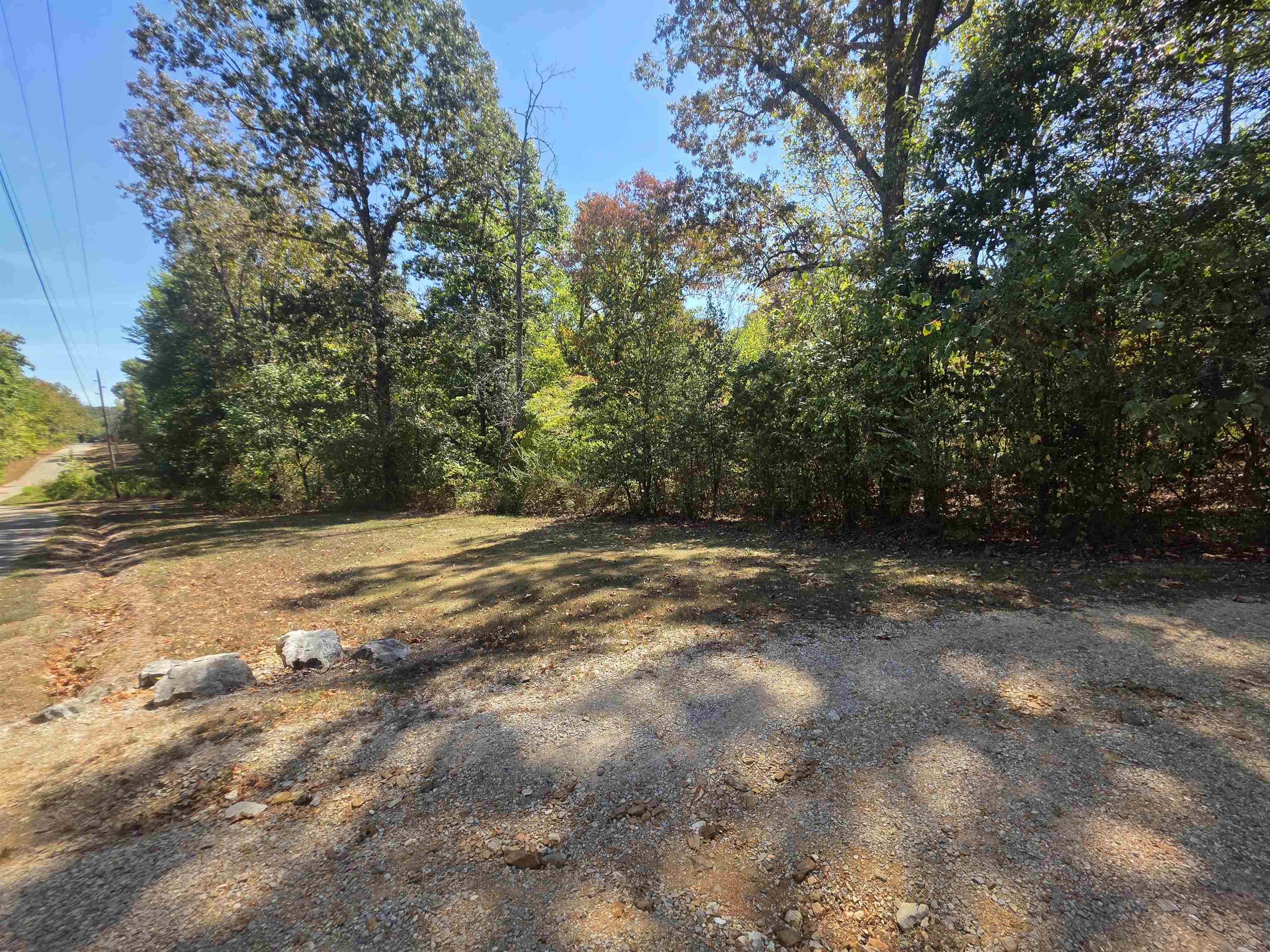 Tbd Timberlane, Redbud, Etc. Drive Property Photo 6