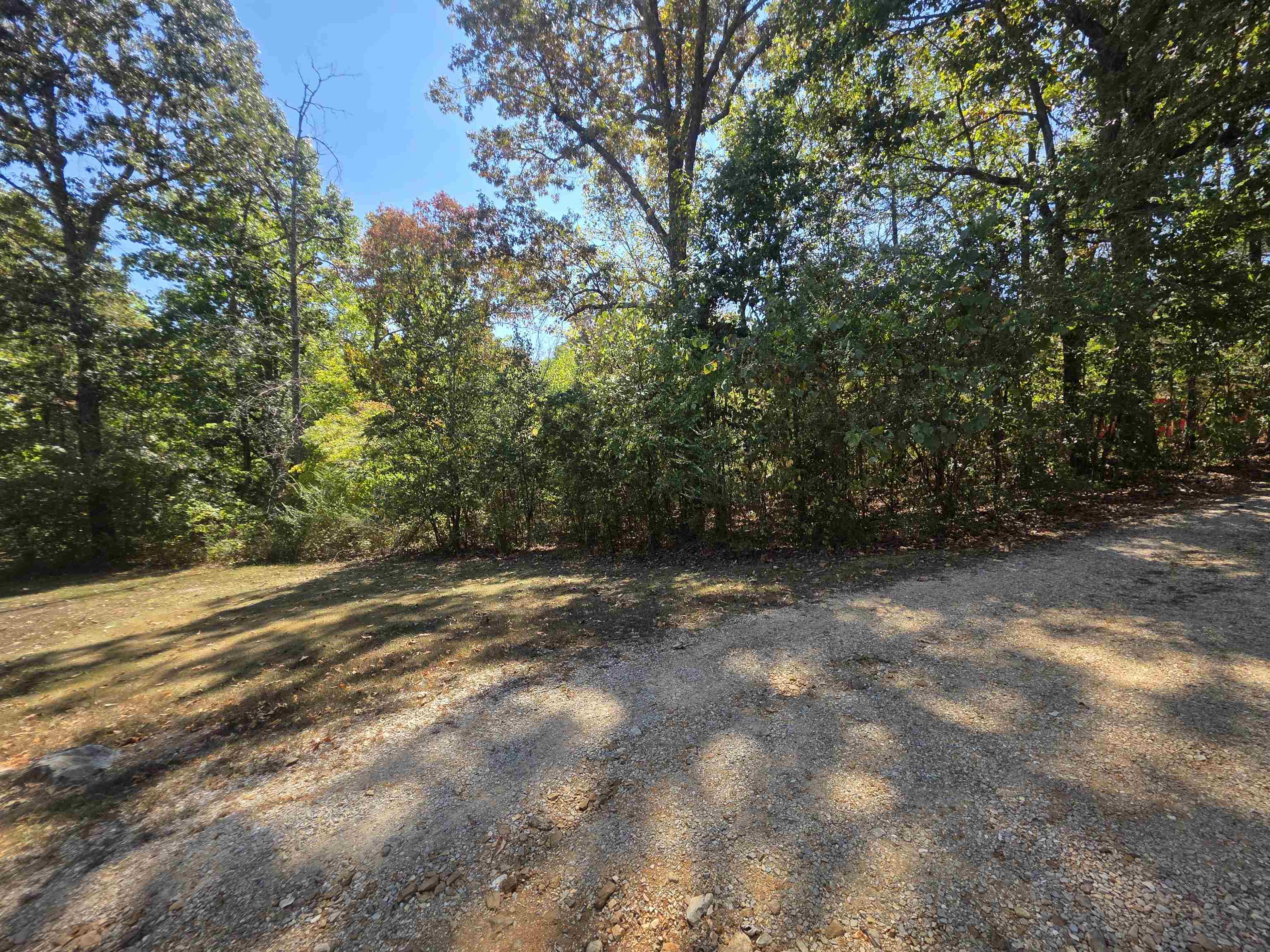 Tbd Timberlane, Redbud, Etc. Drive Property Photo 7