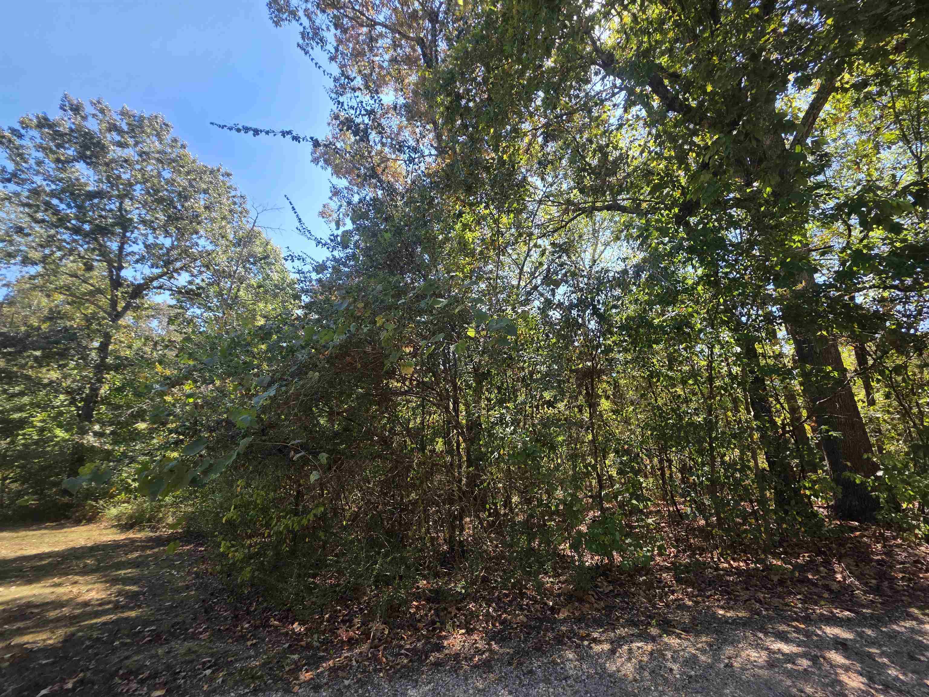Tbd Timberlane, Redbud, Etc. Drive Property Photo 10