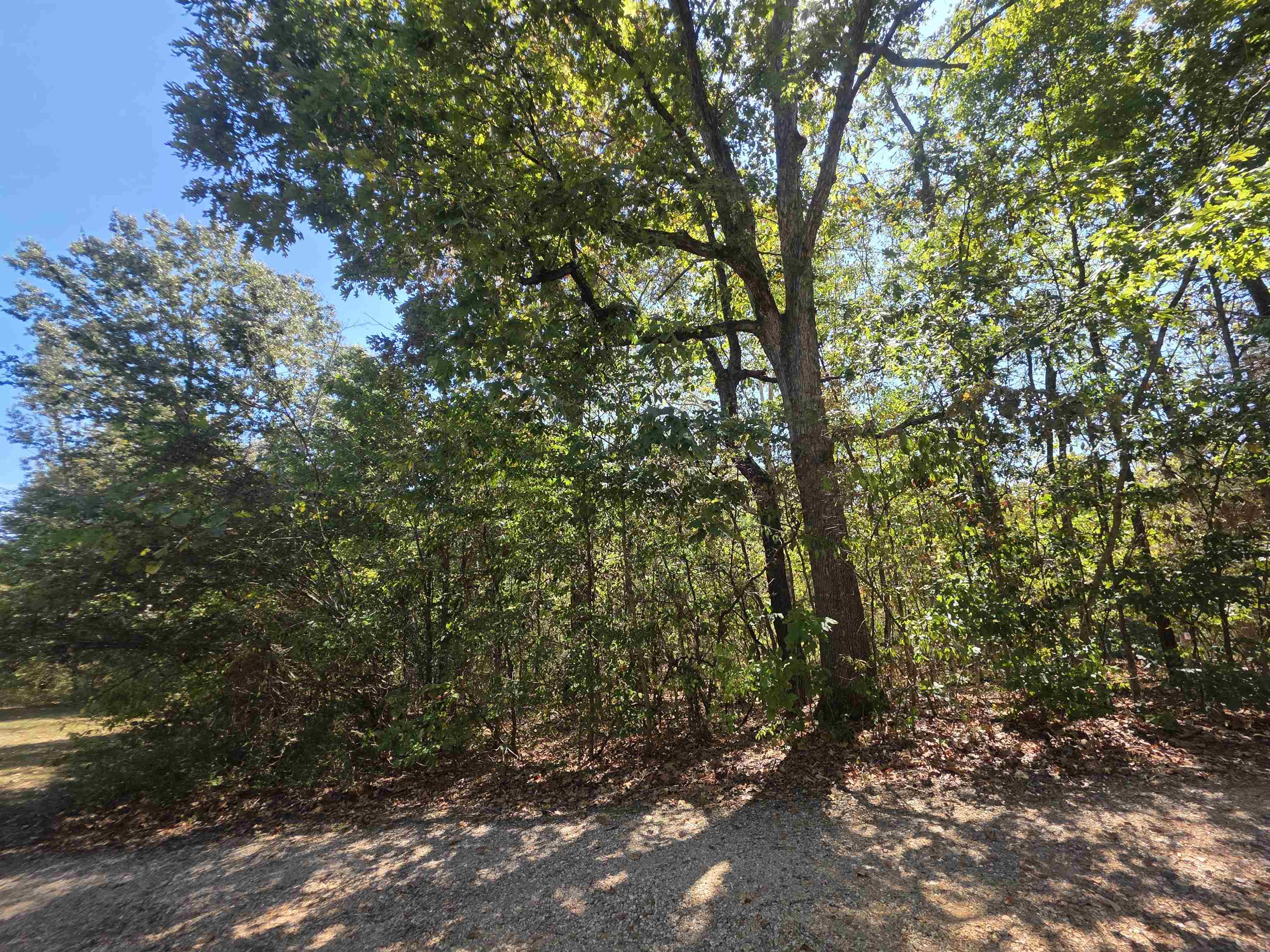 Tbd Timberlane, Redbud, Etc. Drive Property Photo 11