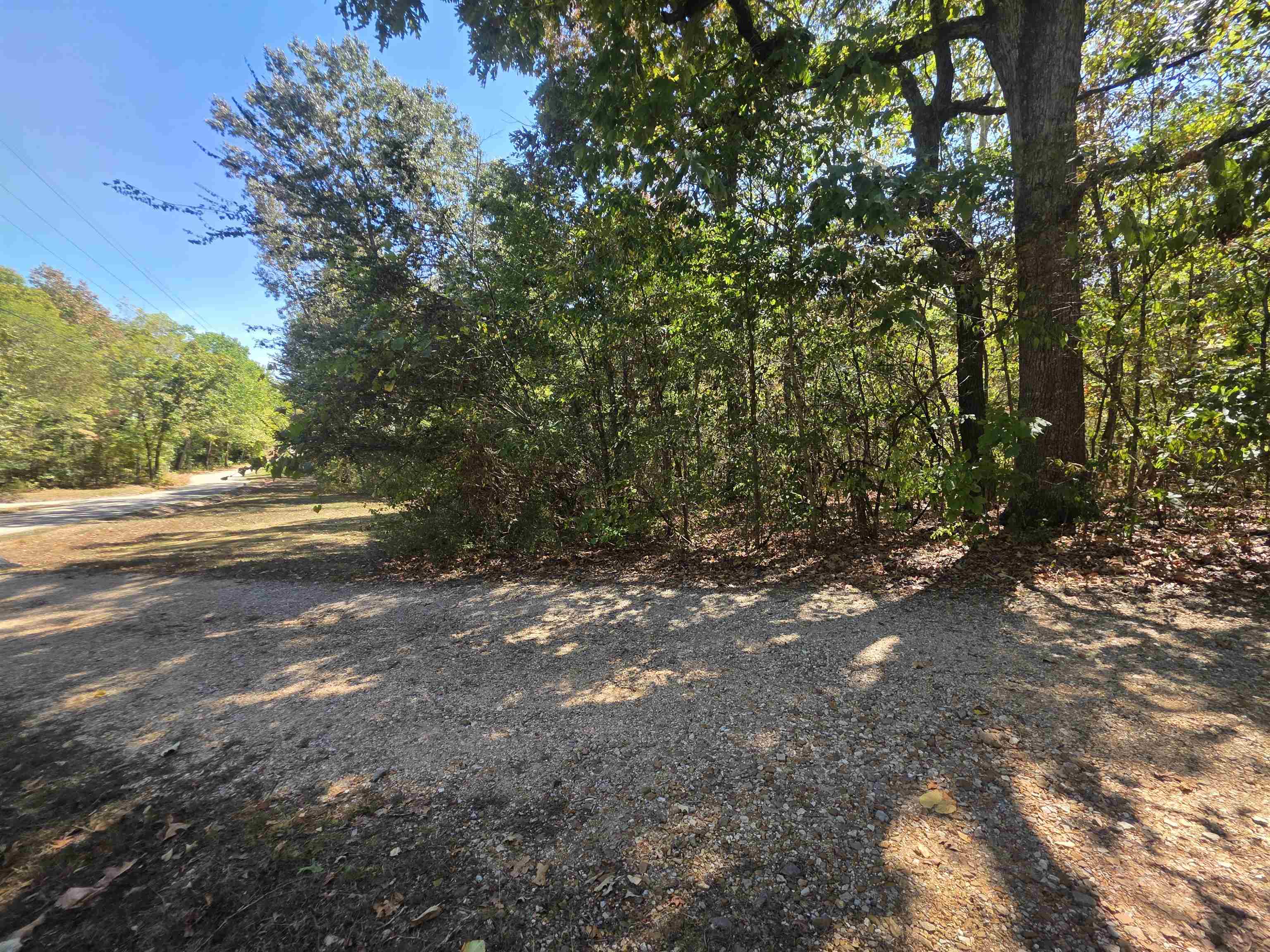 Tbd Timberlane, Redbud, Etc. Drive Property Photo 12