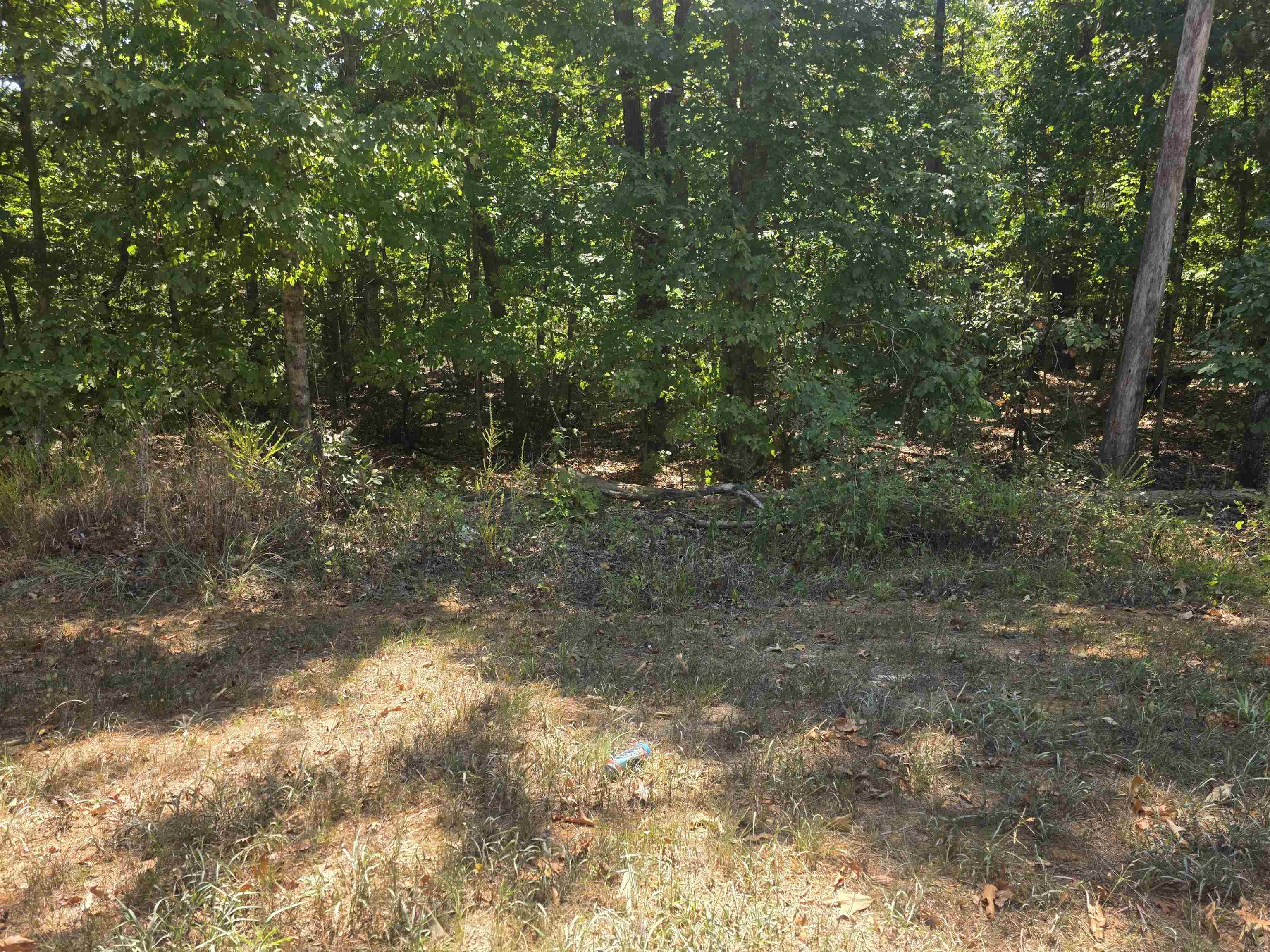 Tbd Timberlane, Redbud, Etc. Drive Property Photo 24