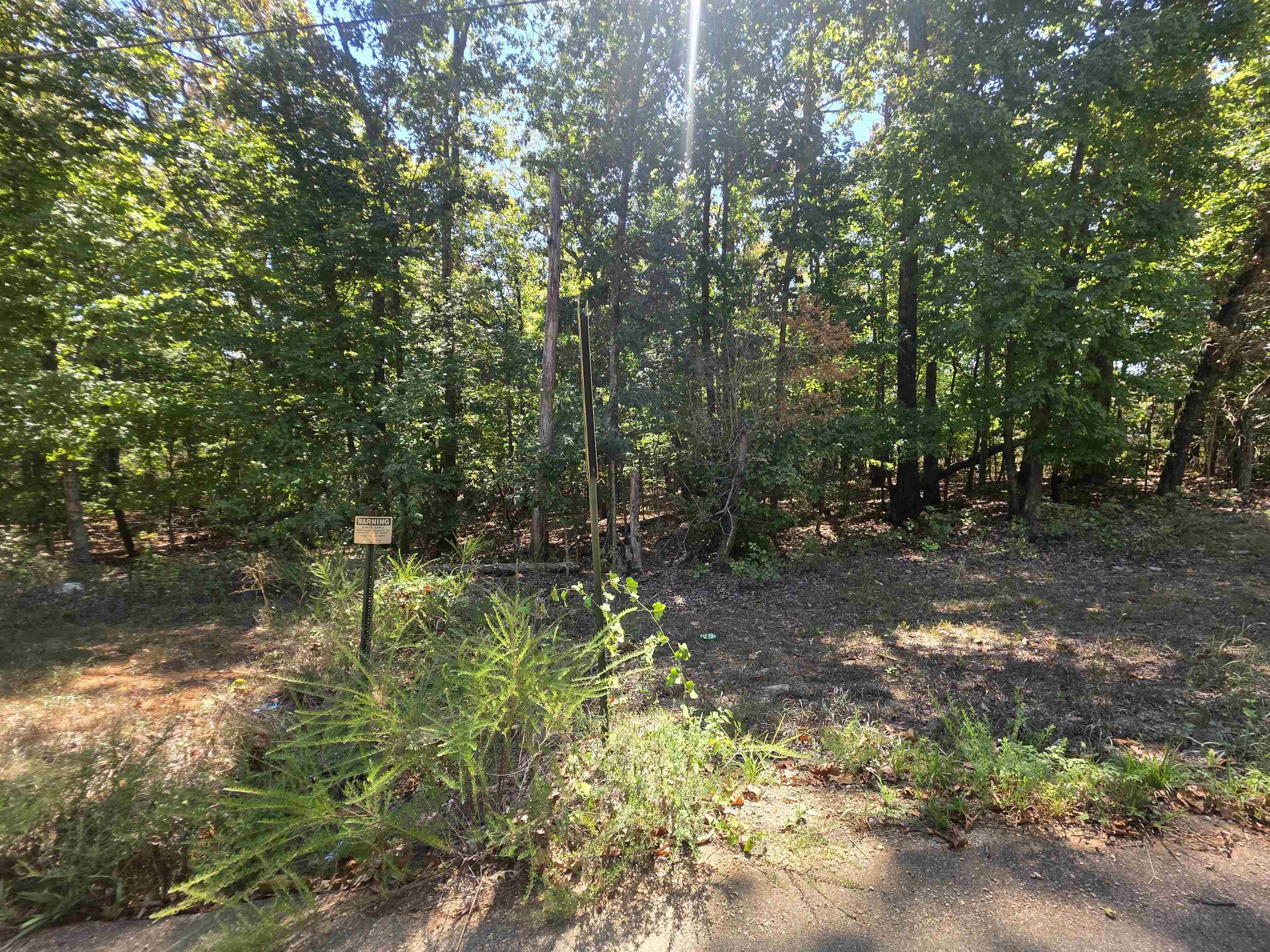 Tbd Timberlane, Redbud, Etc. Drive Property Photo 27