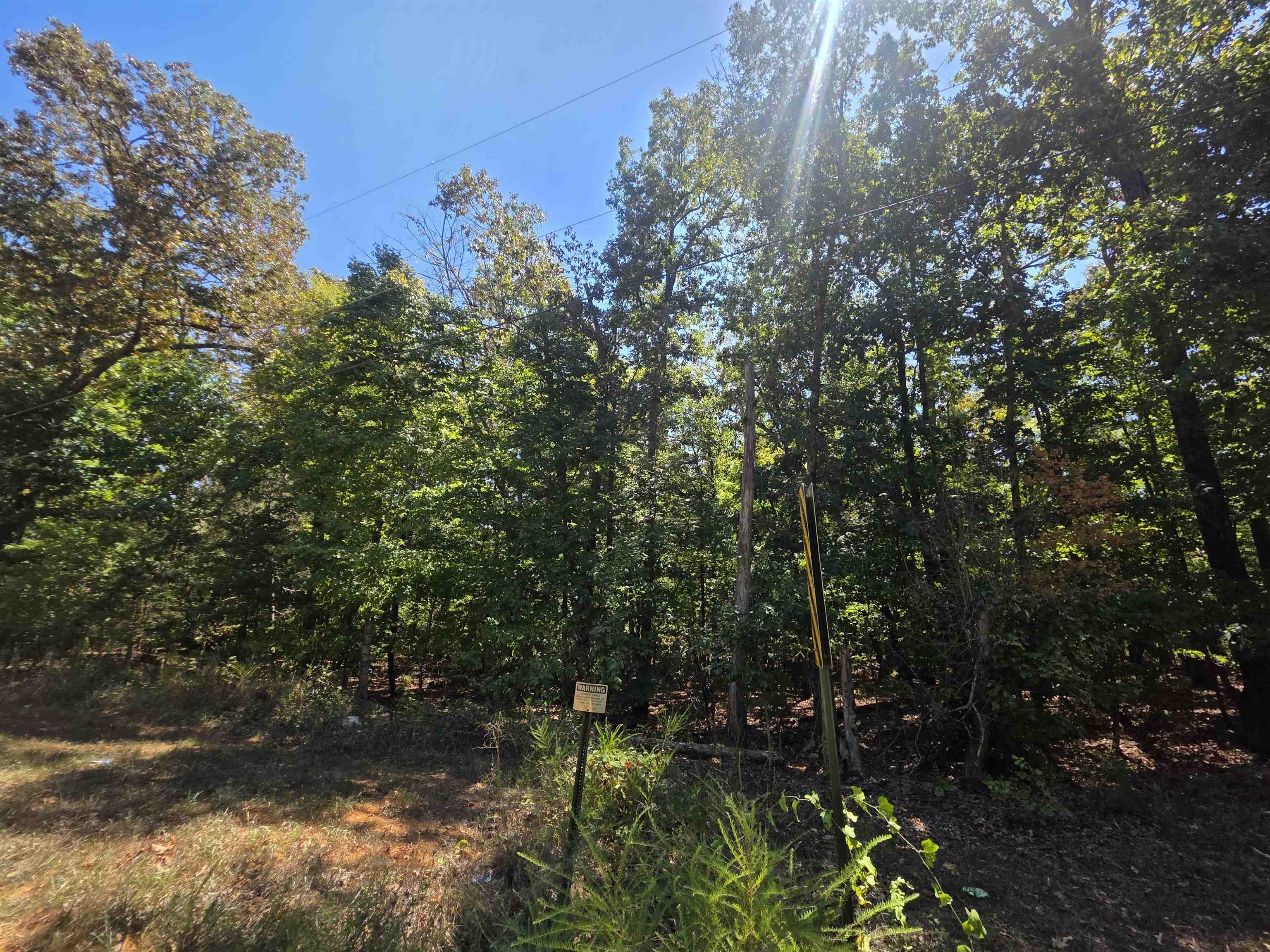 Tbd Timberlane, Redbud, Etc. Drive Property Photo 28