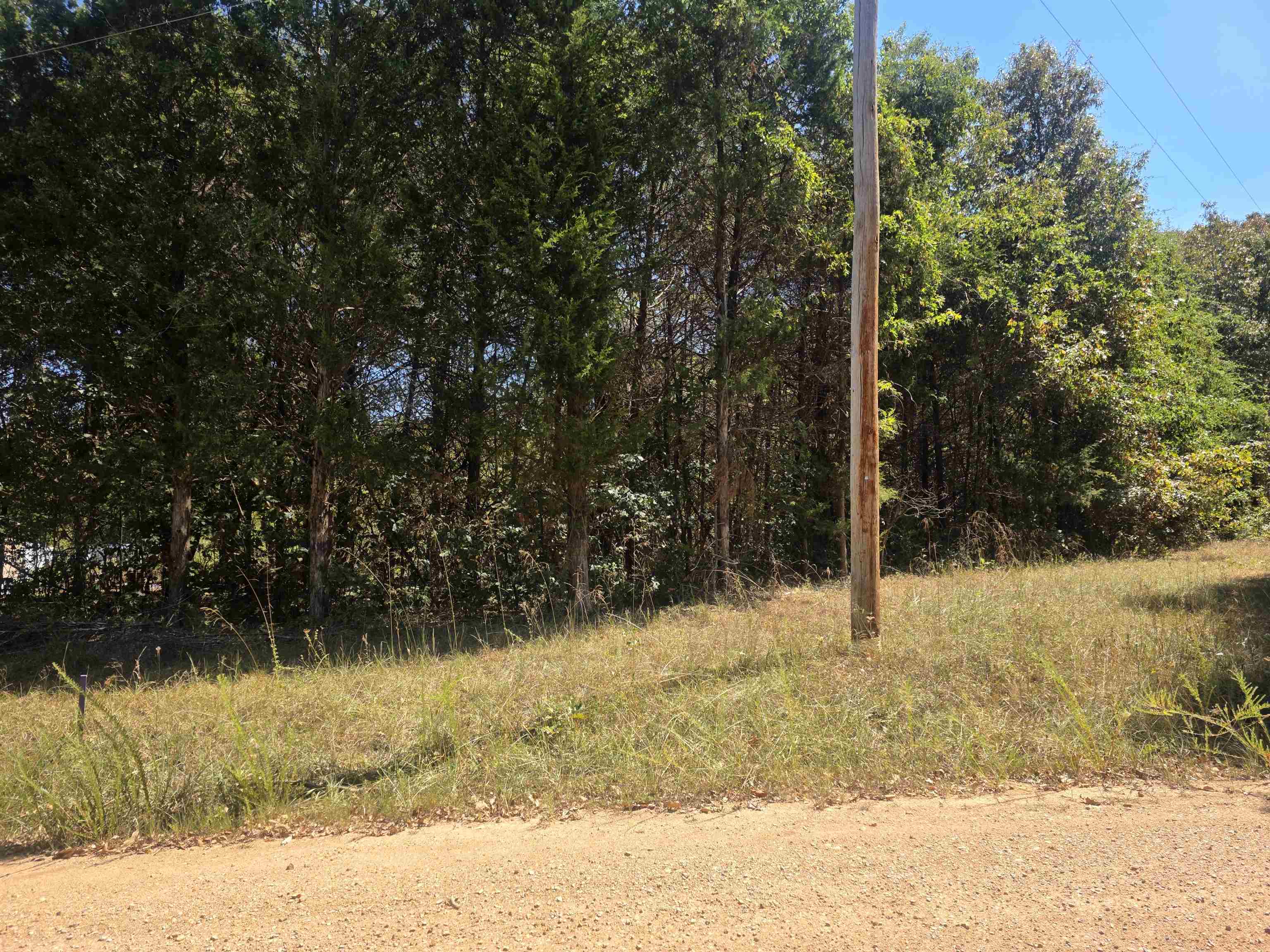 Tbd Timberlane, Redbud, Etc. Drive Property Photo 30