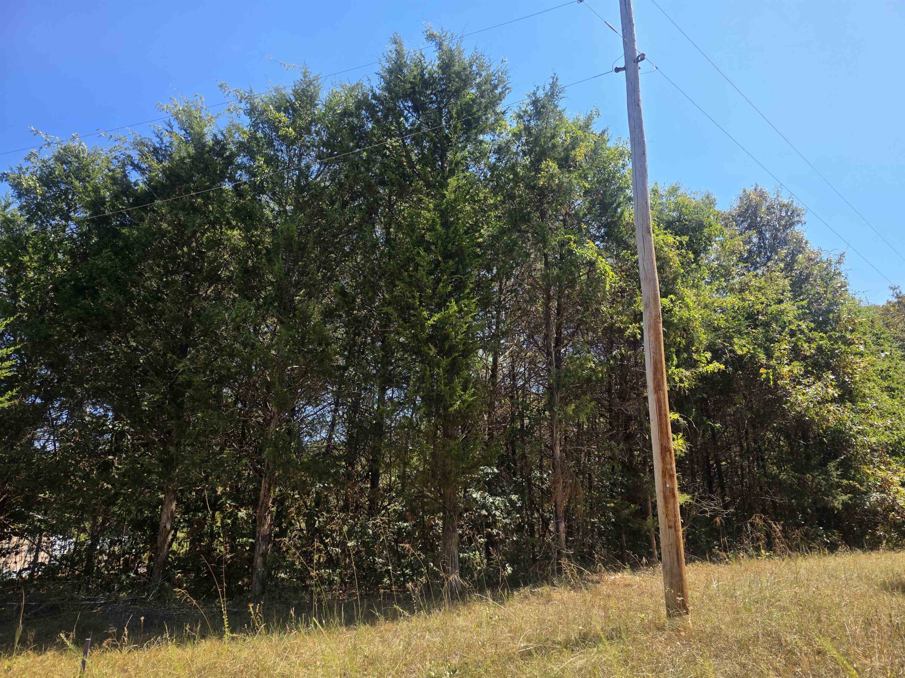 Tbd Timberlane, Redbud, Etc. Drive Property Photo 32