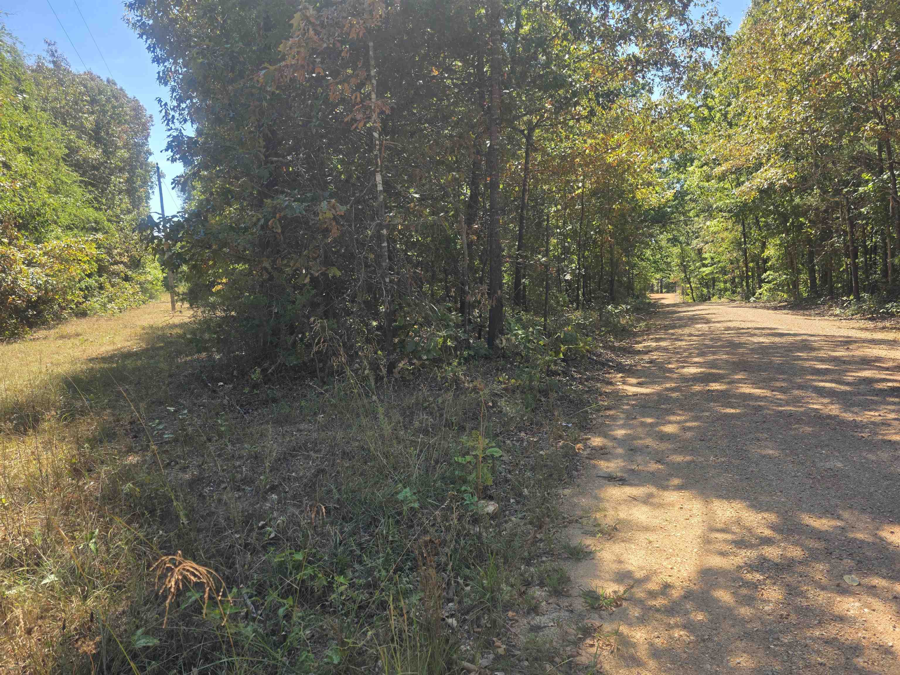Tbd Timberlane, Redbud, Etc. Drive Property Photo 33