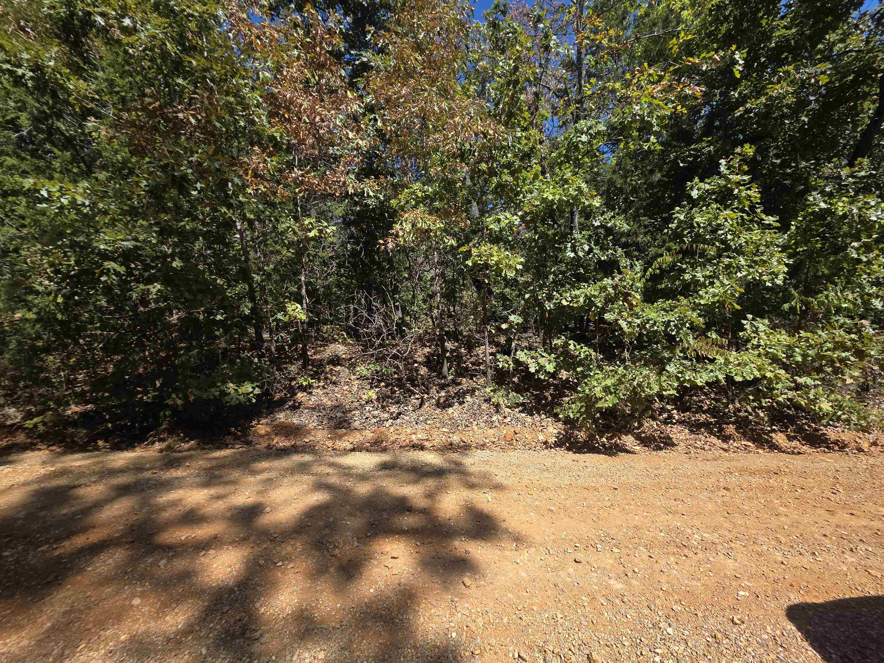 Tbd Timberlane, Redbud, Etc. Drive Property Photo 35