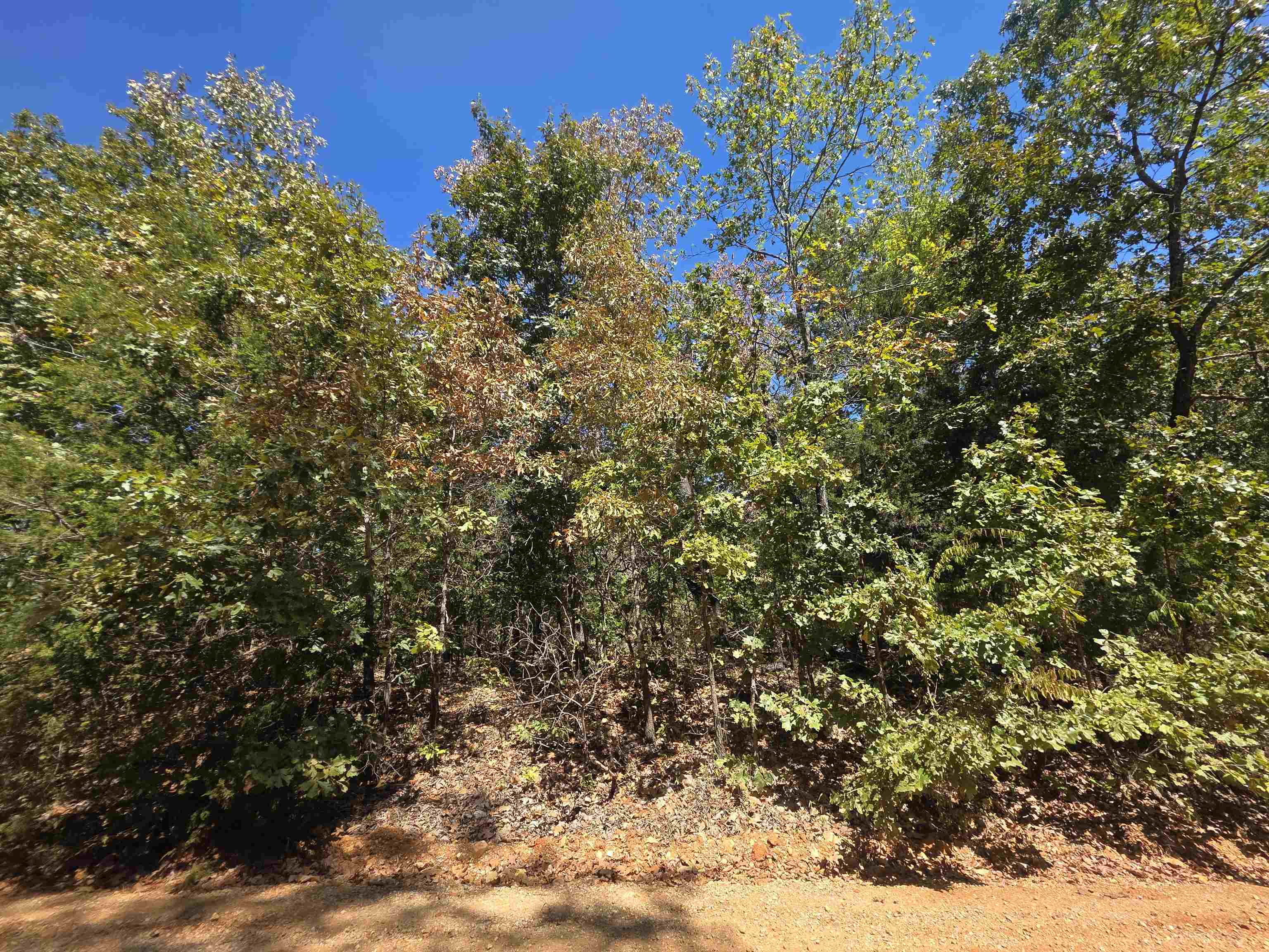 Tbd Timberlane, Redbud, Etc. Drive Property Photo 36