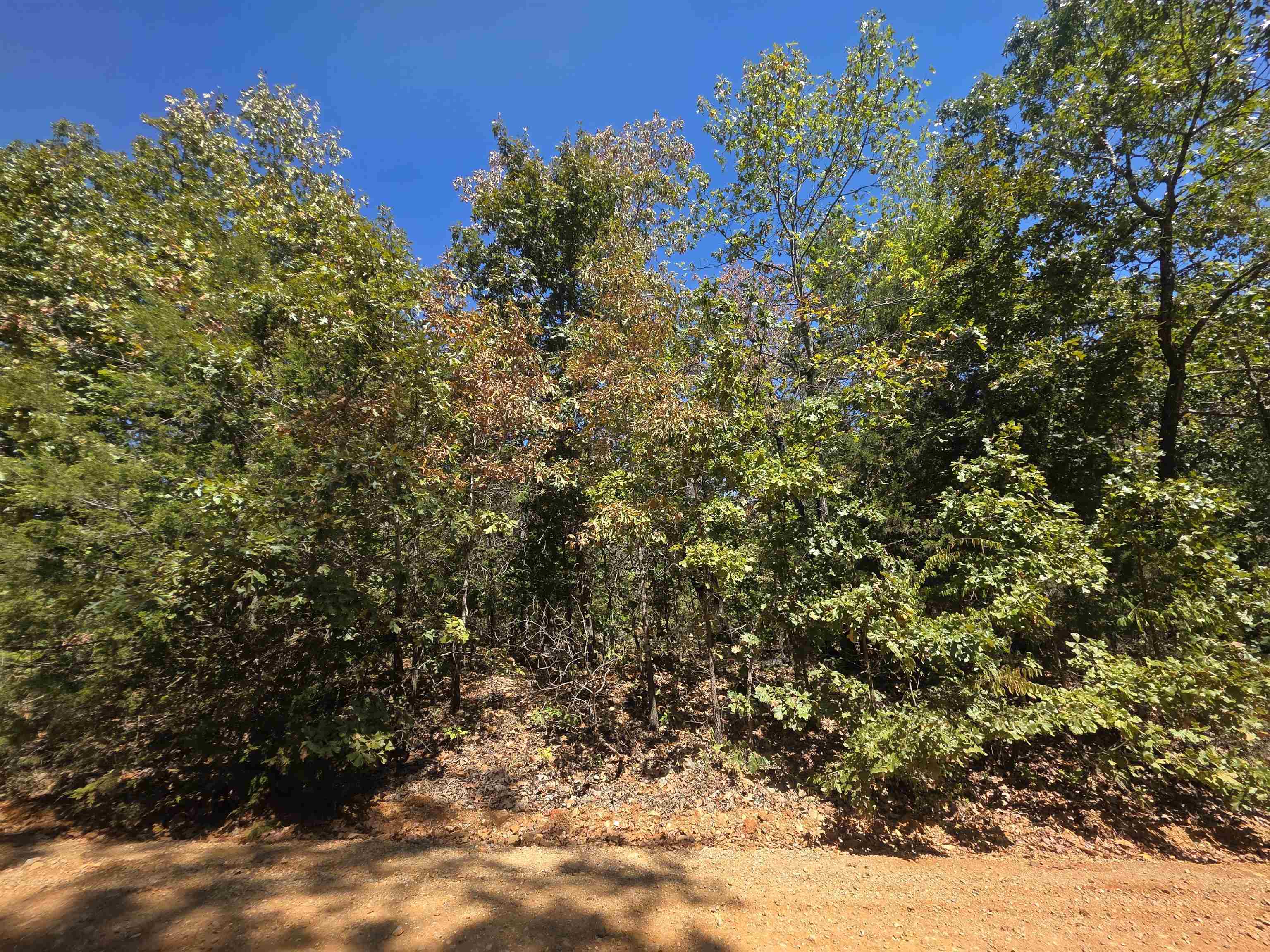 Tbd Timberlane, Redbud, Etc. Drive Property Photo 37