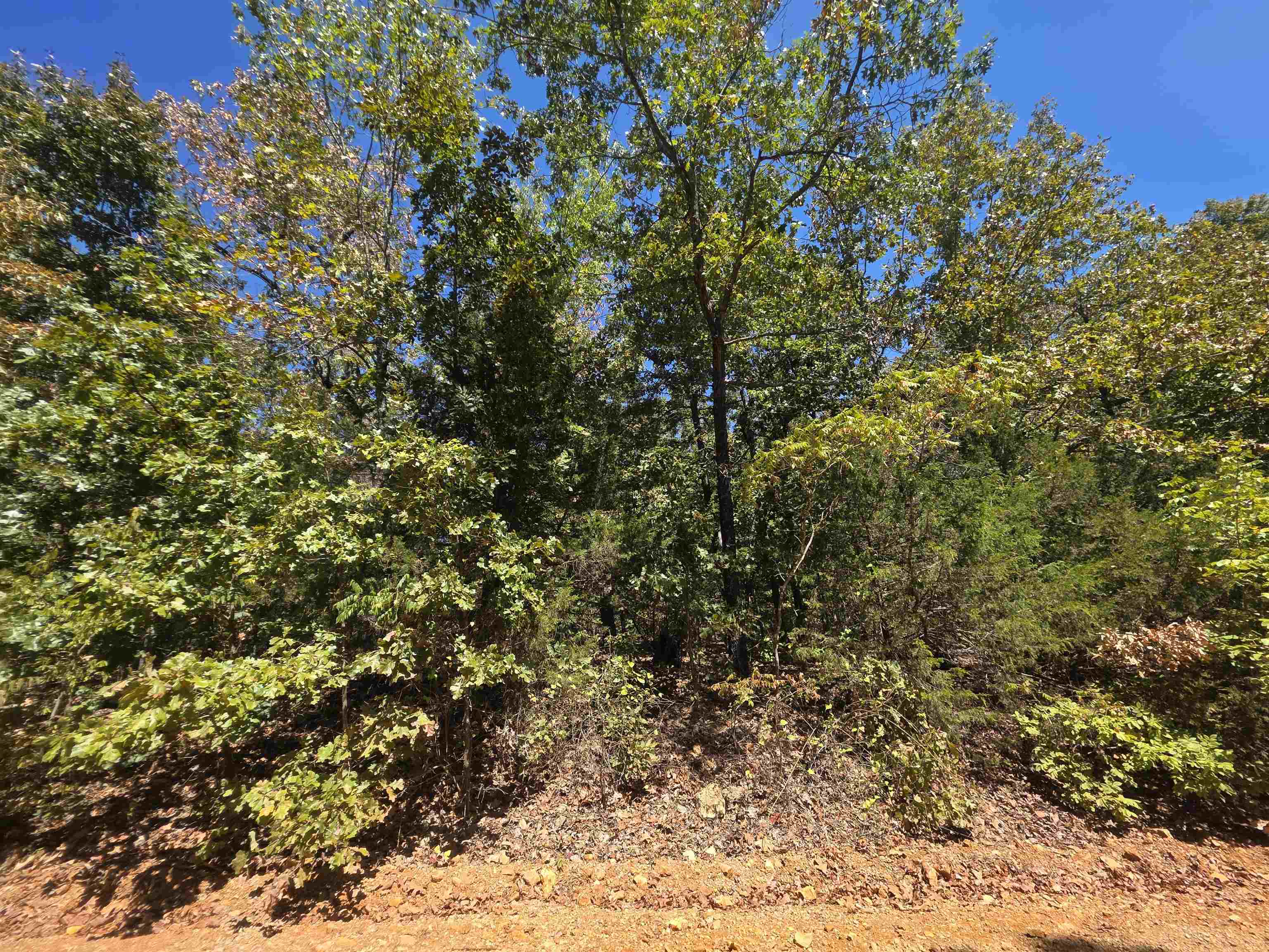 Tbd Timberlane, Redbud, Etc. Drive Property Photo 39