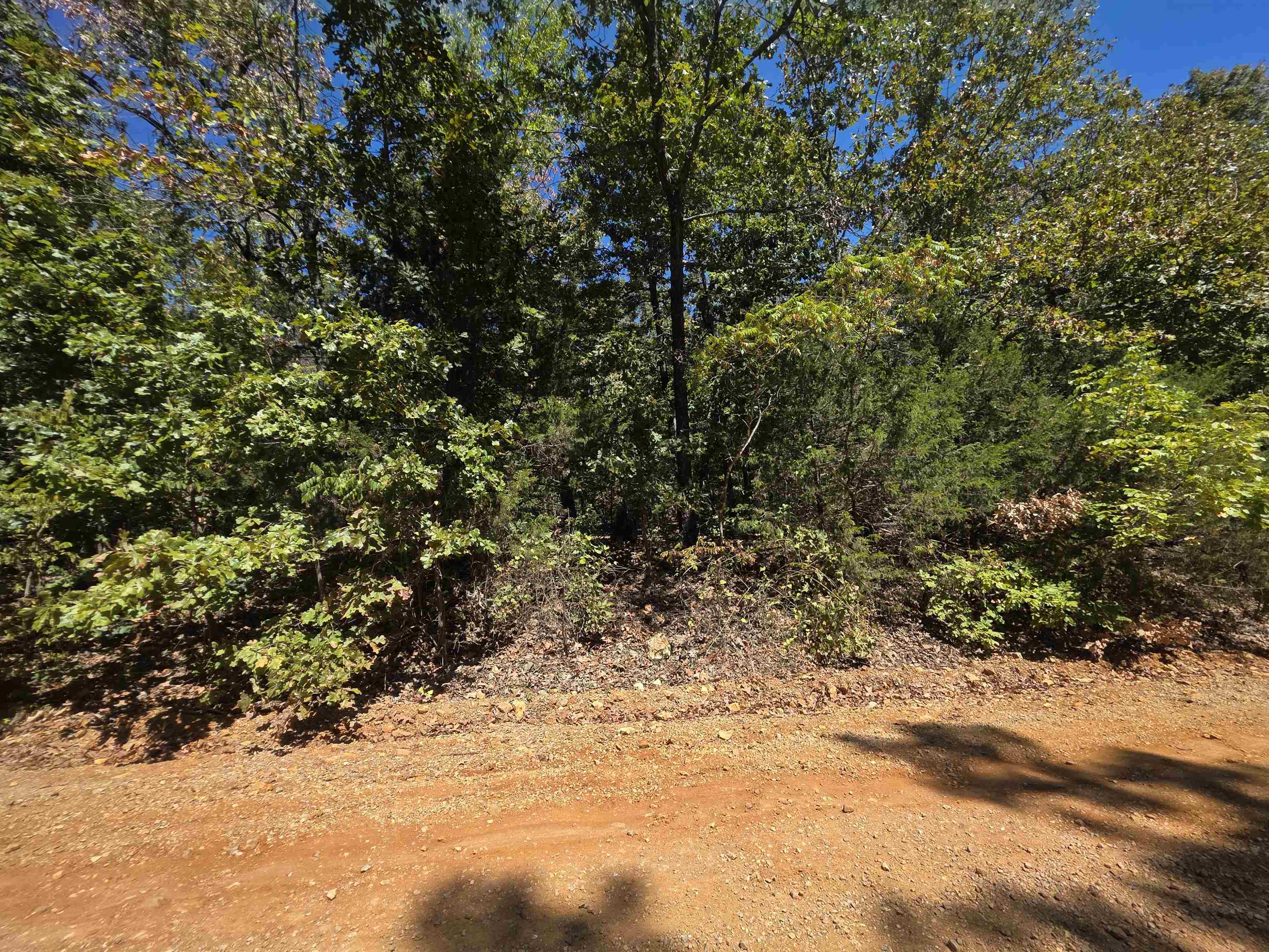 Tbd Timberlane, Redbud, Etc. Drive Property Photo 40