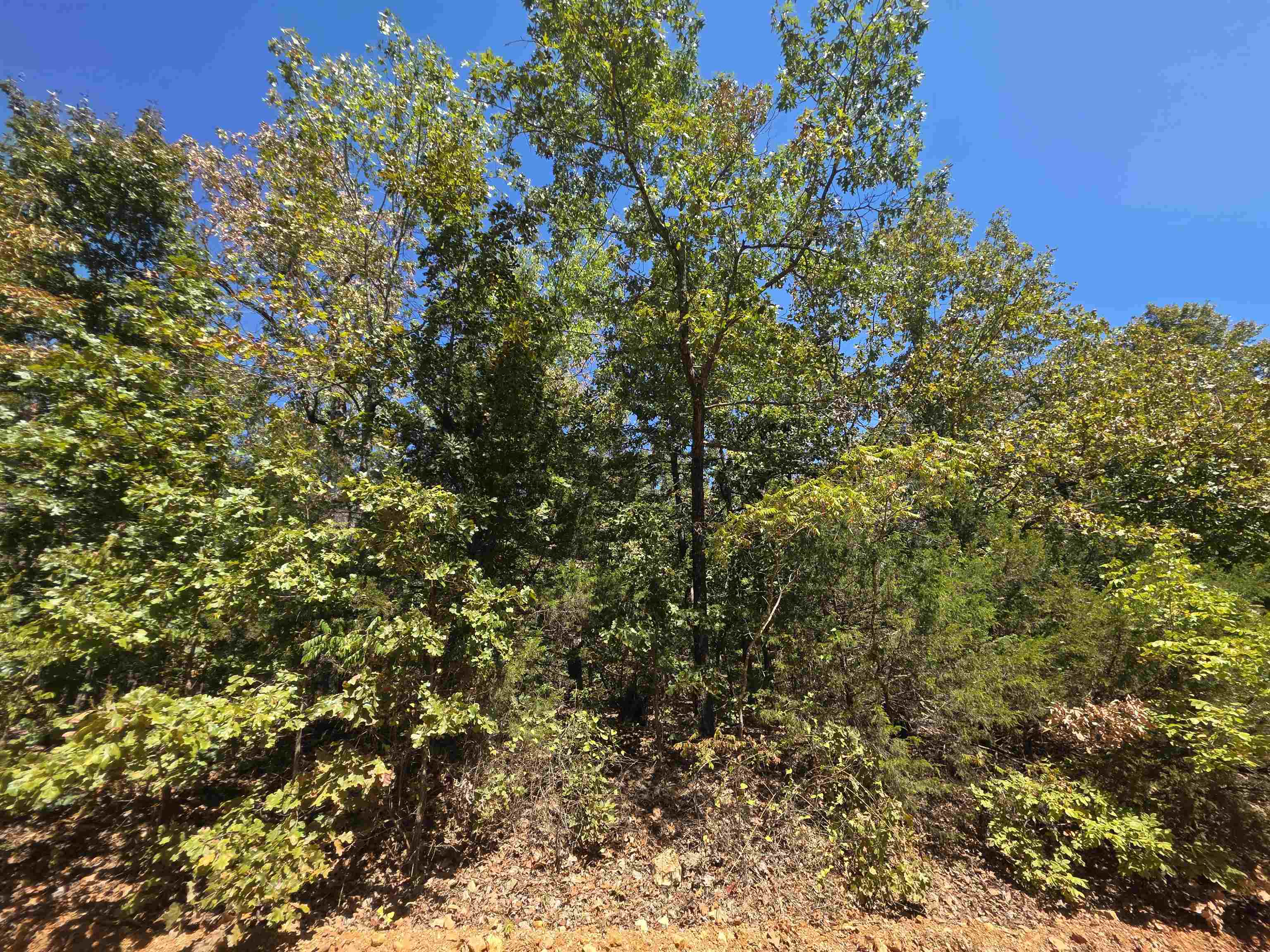 Tbd Timberlane, Redbud, Etc. Drive Property Photo 42