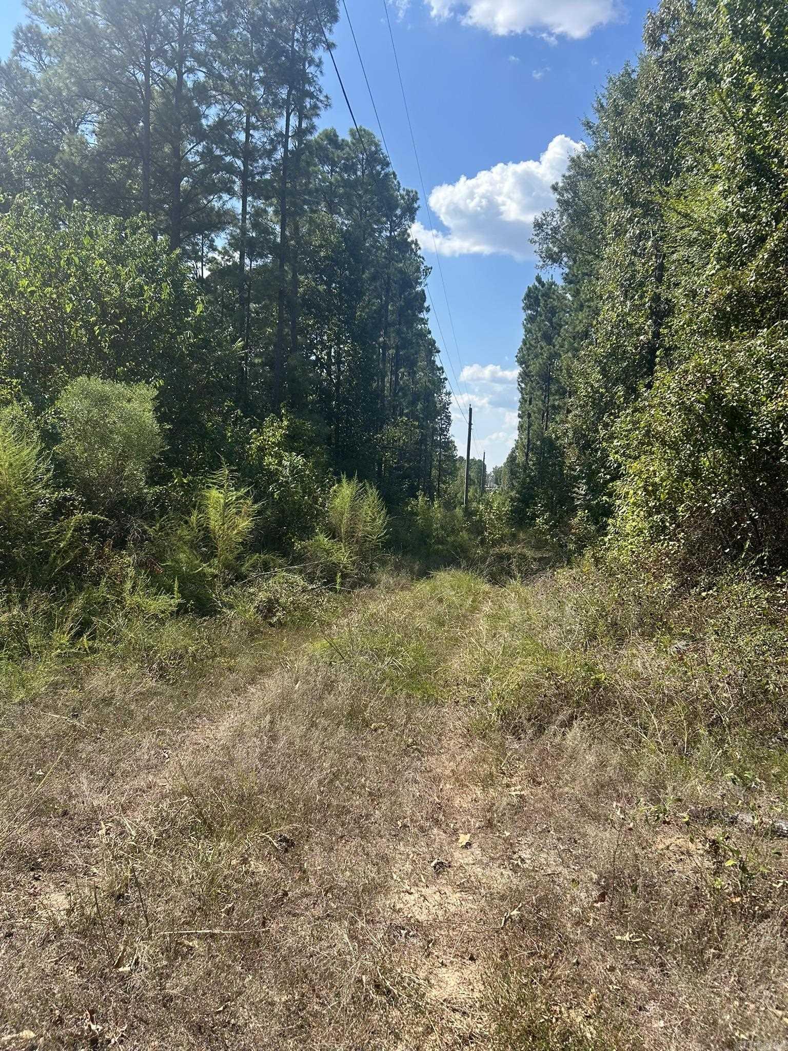 Tbd Nevada 290 Property Photo 1