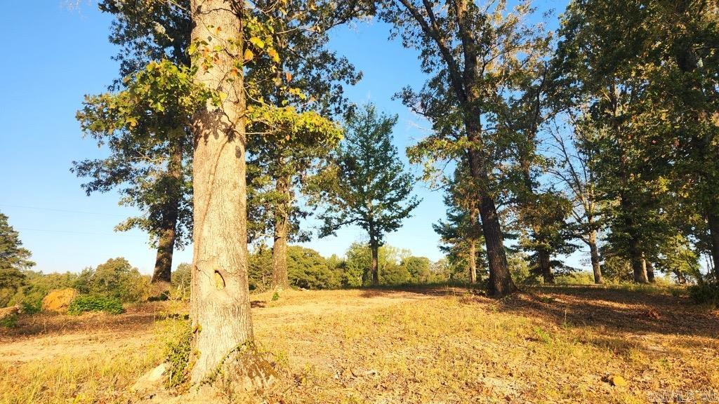 Tbd (tract 04) Gran's Way Property Photo 9