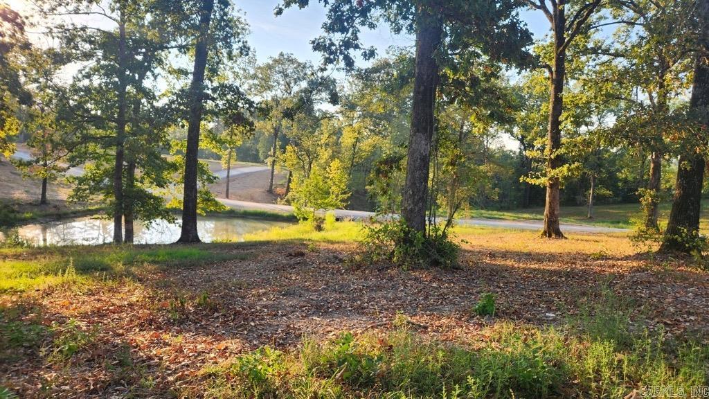 Tbd (tract 04) Gran's Way Property Photo 11