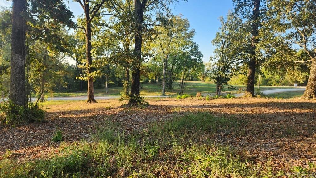 Tbd (tract 04) Gran's Way Property Photo 12