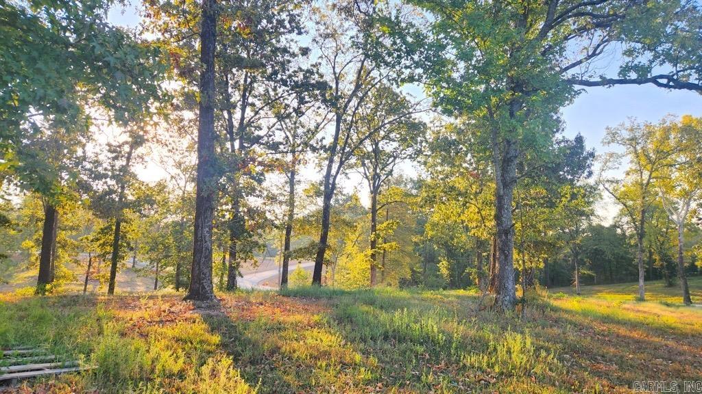 Tbd (tract 04) Gran's Way Property Photo 15