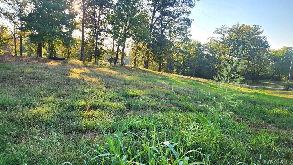 Tbd (tract 04) Gran's Way Property Photo 16