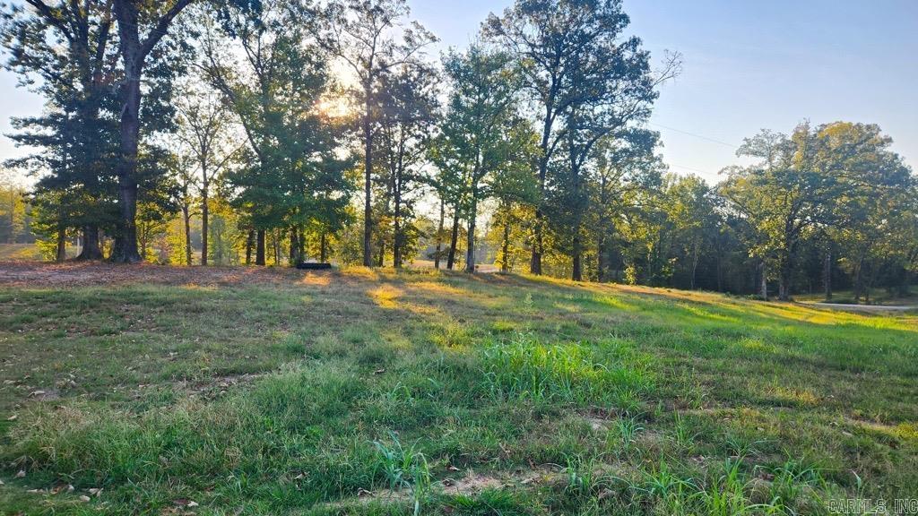 Tbd (tract 04) Gran's Way Property Photo 17