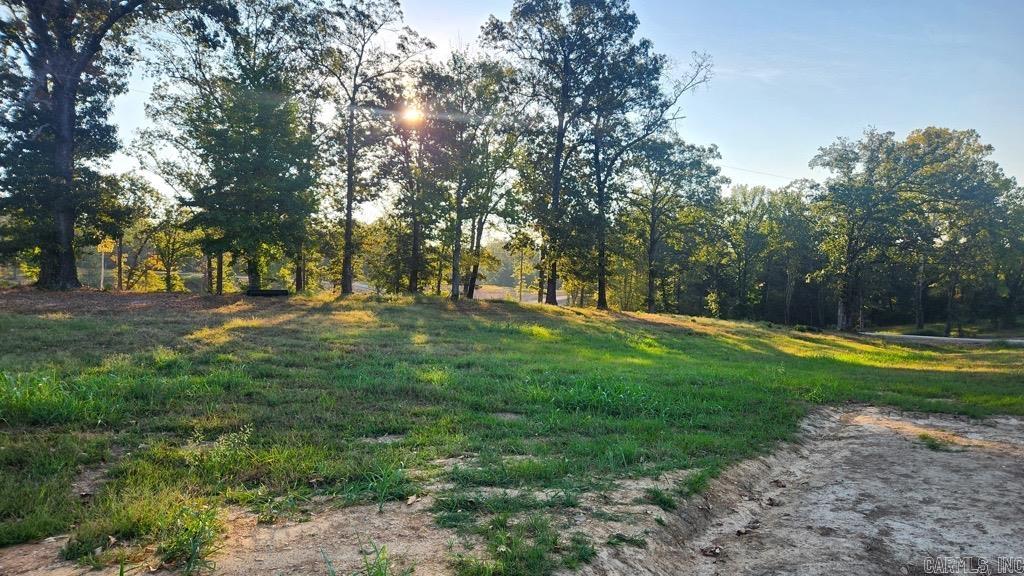 Tbd (tract 04) Gran's Way Property Photo 18