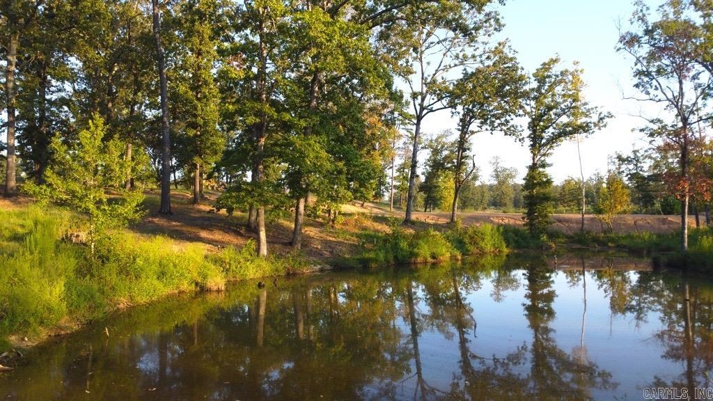 Tbd (tract 04) Gran's Way Property Photo 21