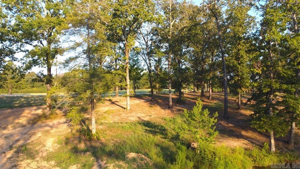 Tbd (tract 04) Gran's Way Property Photo 23