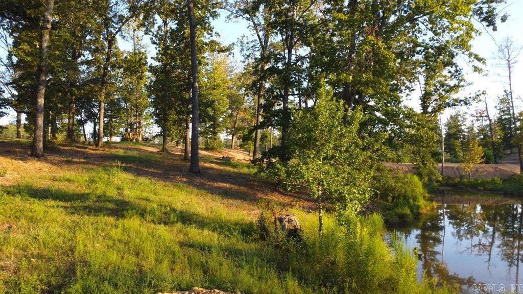 Tbd (tract 04) Gran's Way Property Photo 26