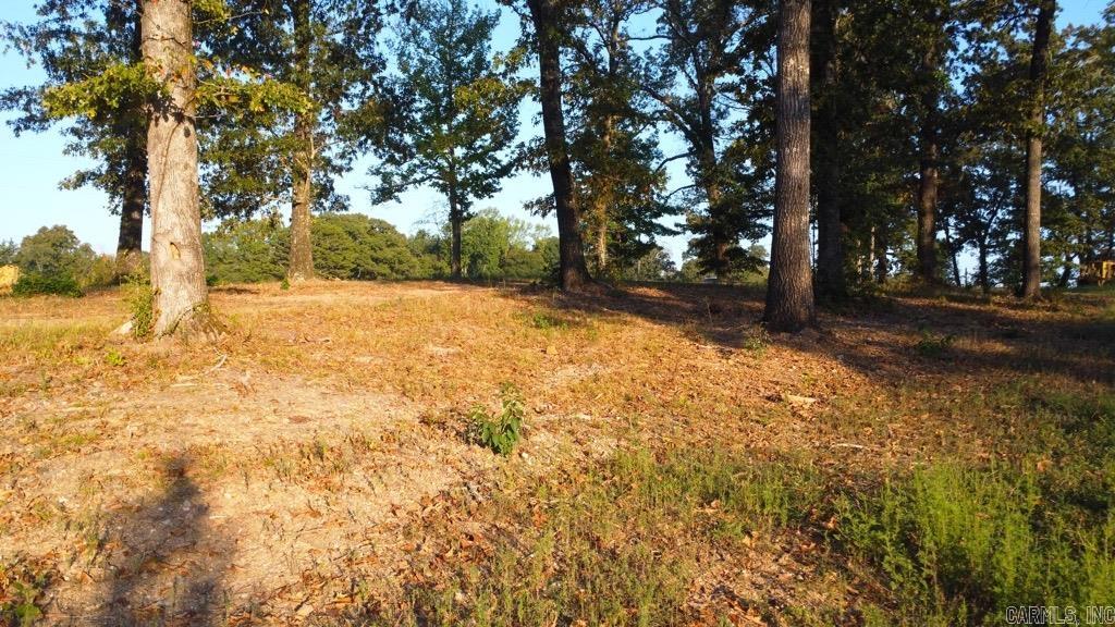 Tbd (tract 04) Gran's Way Property Photo 29